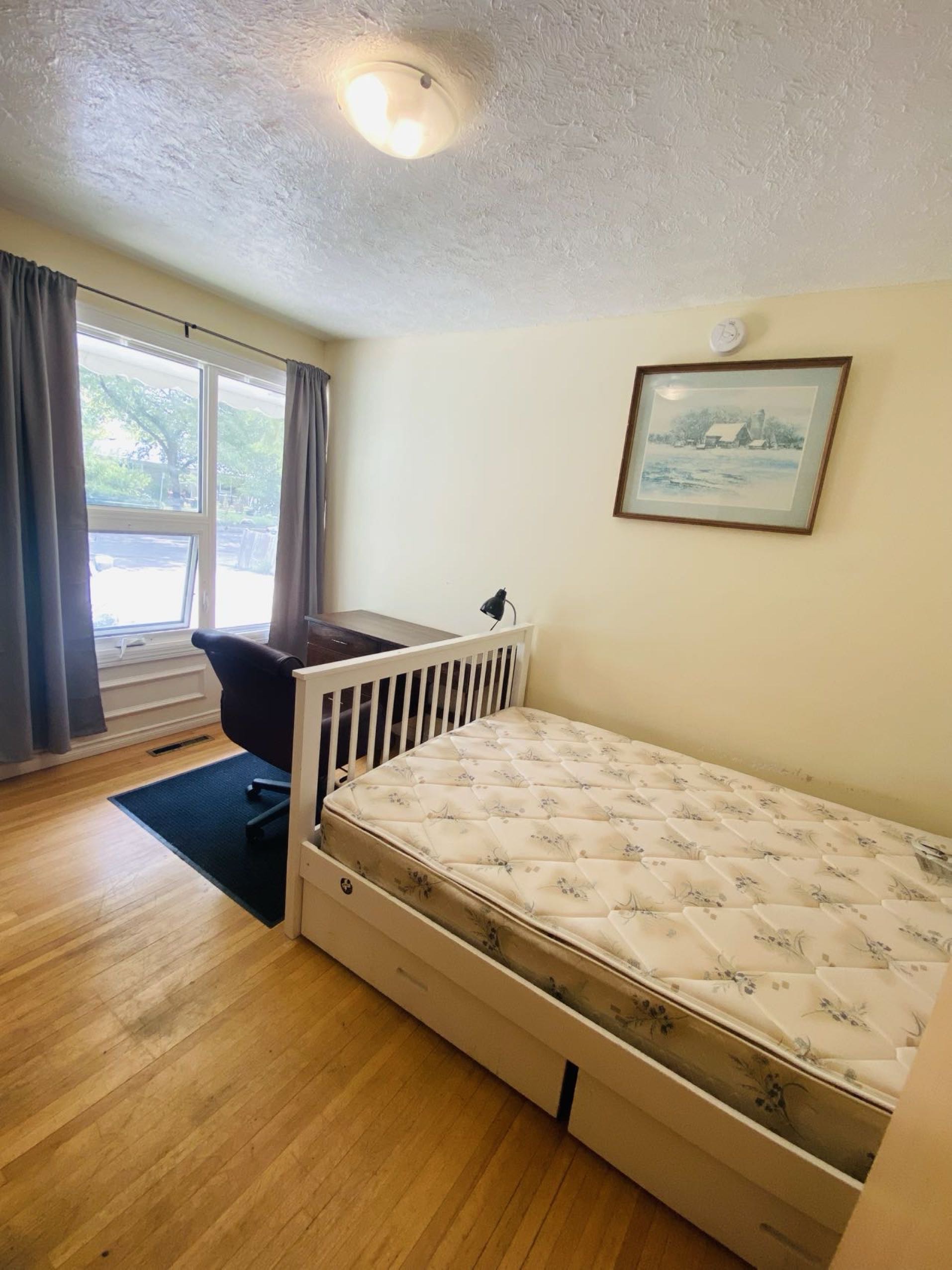 里贾纳大学附近房间出租 - 5