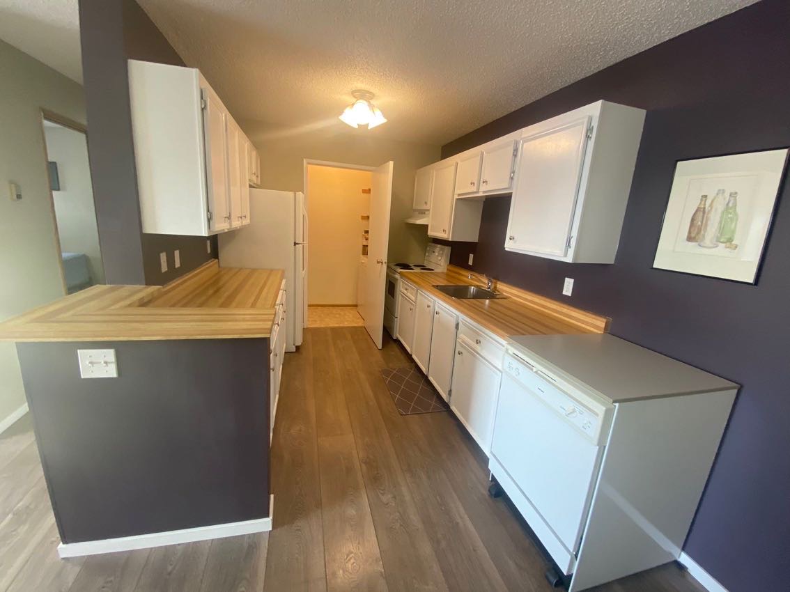 东区花园式公寓，两室一卫，可拎包入住 - 3