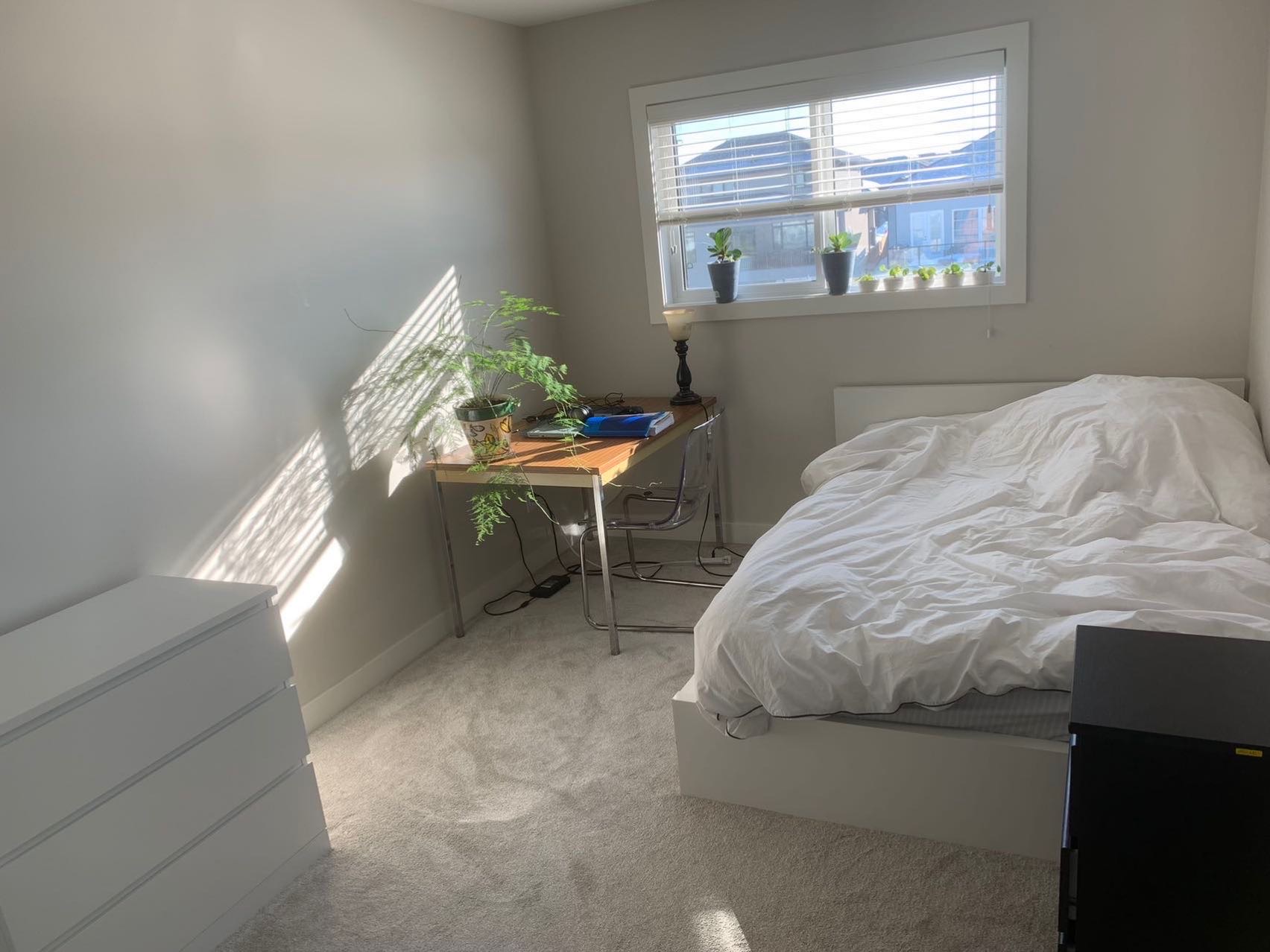 南向两间阳光大房间出租，只招女生 - 5