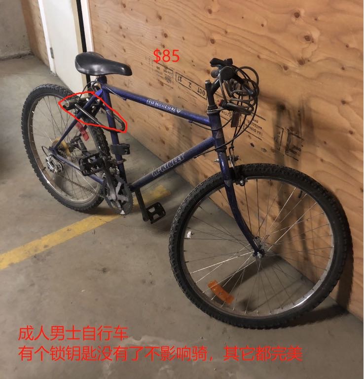 成人自行车