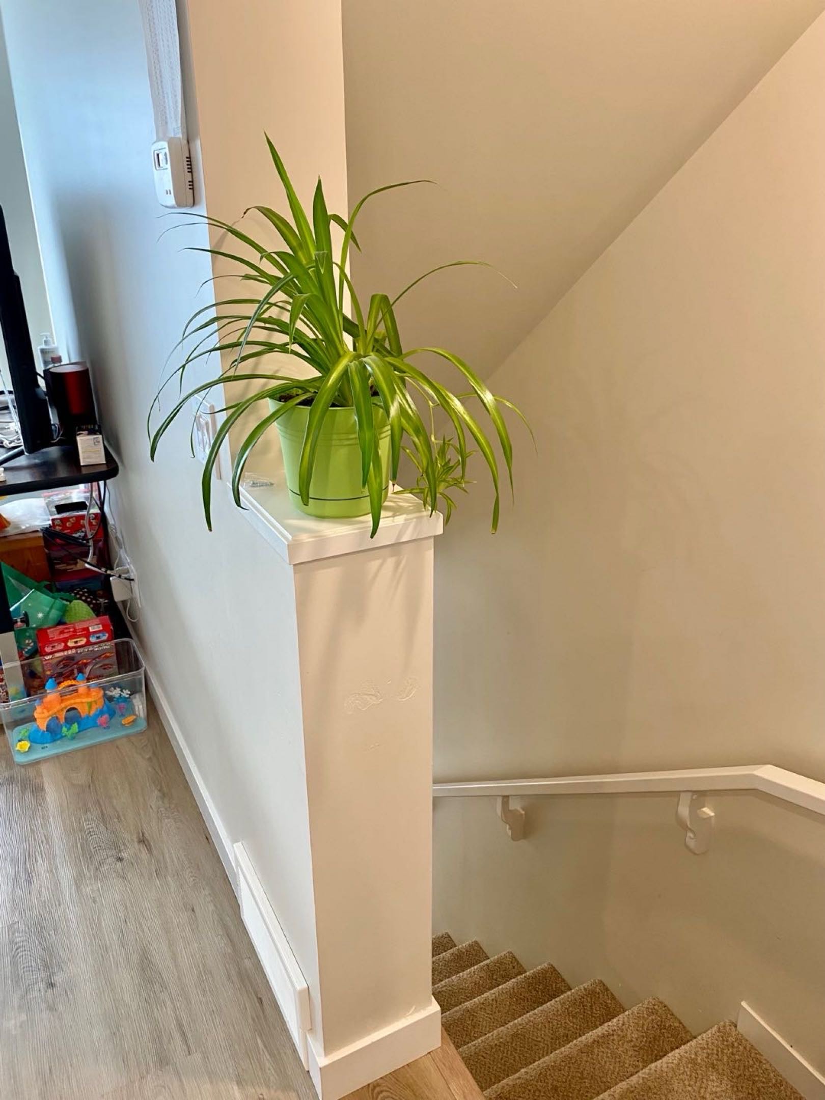 Brighton 2室2卫带车库联排优惠转租 - 5