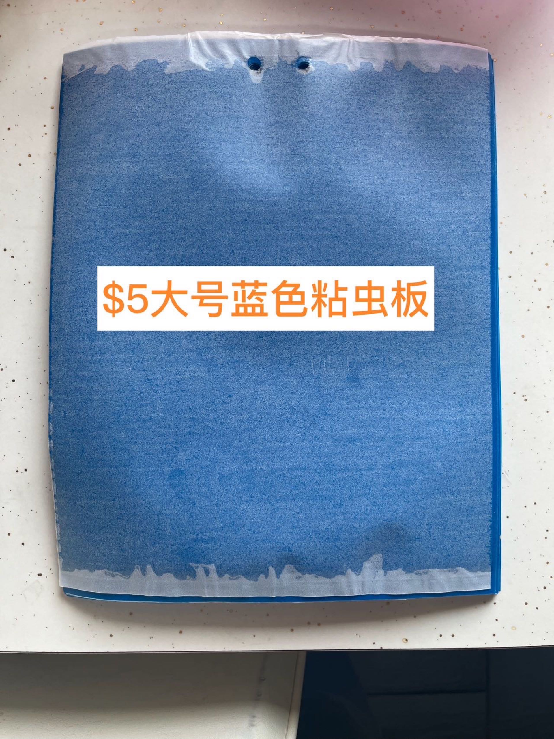 粘虫板