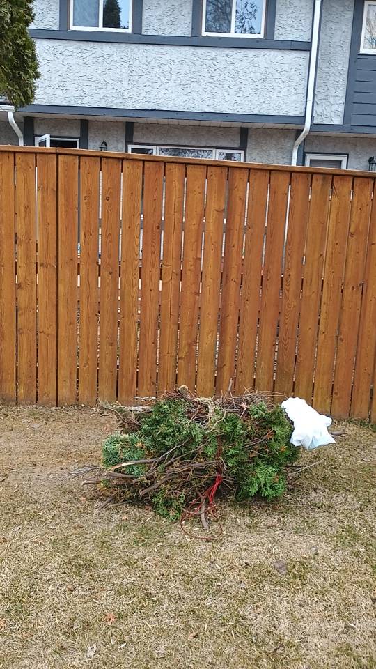 Silverwood townhouse 二楼出租 - 2