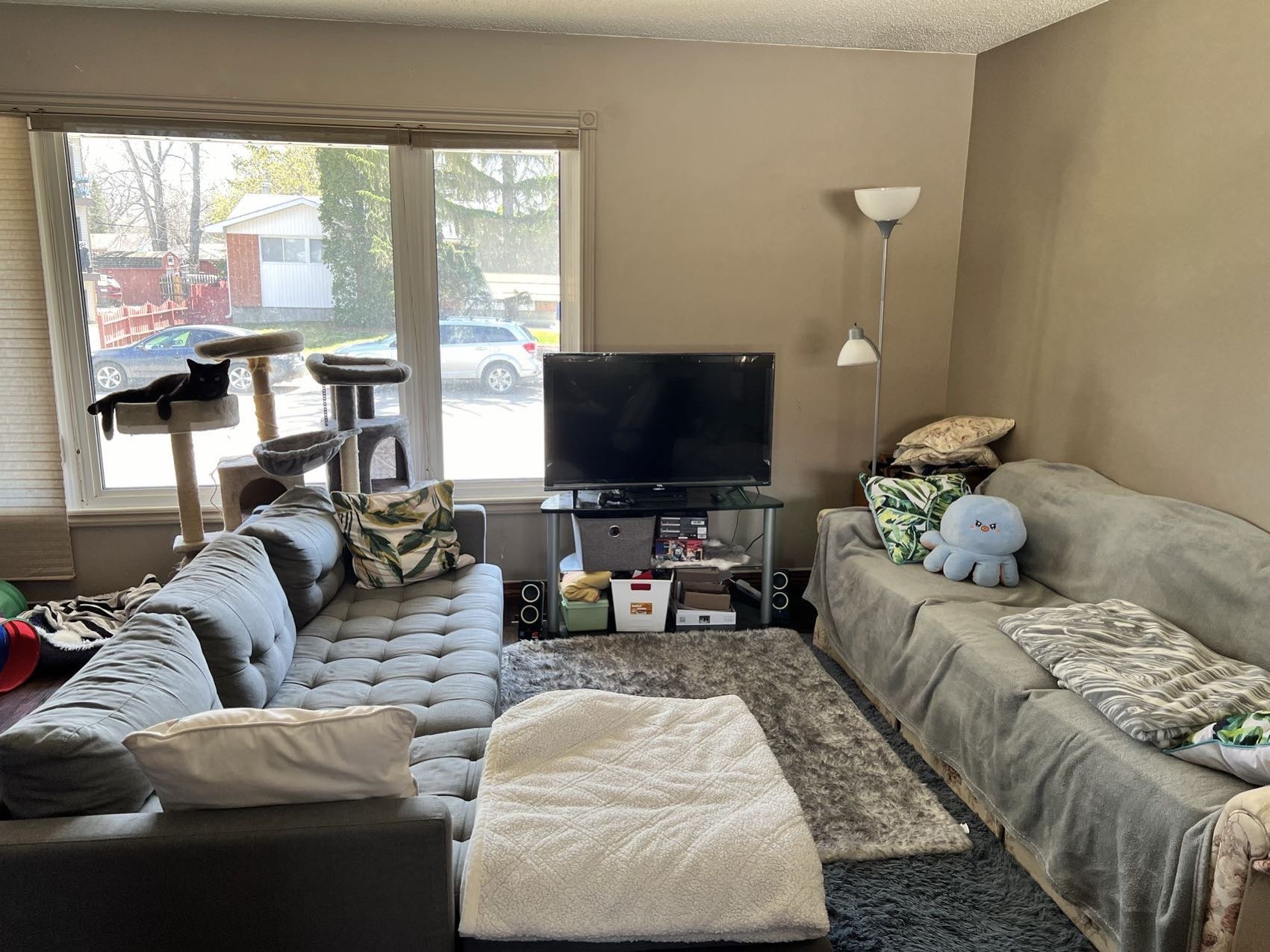 **房间出租：里贾纳大学附近舒适单间** - 6