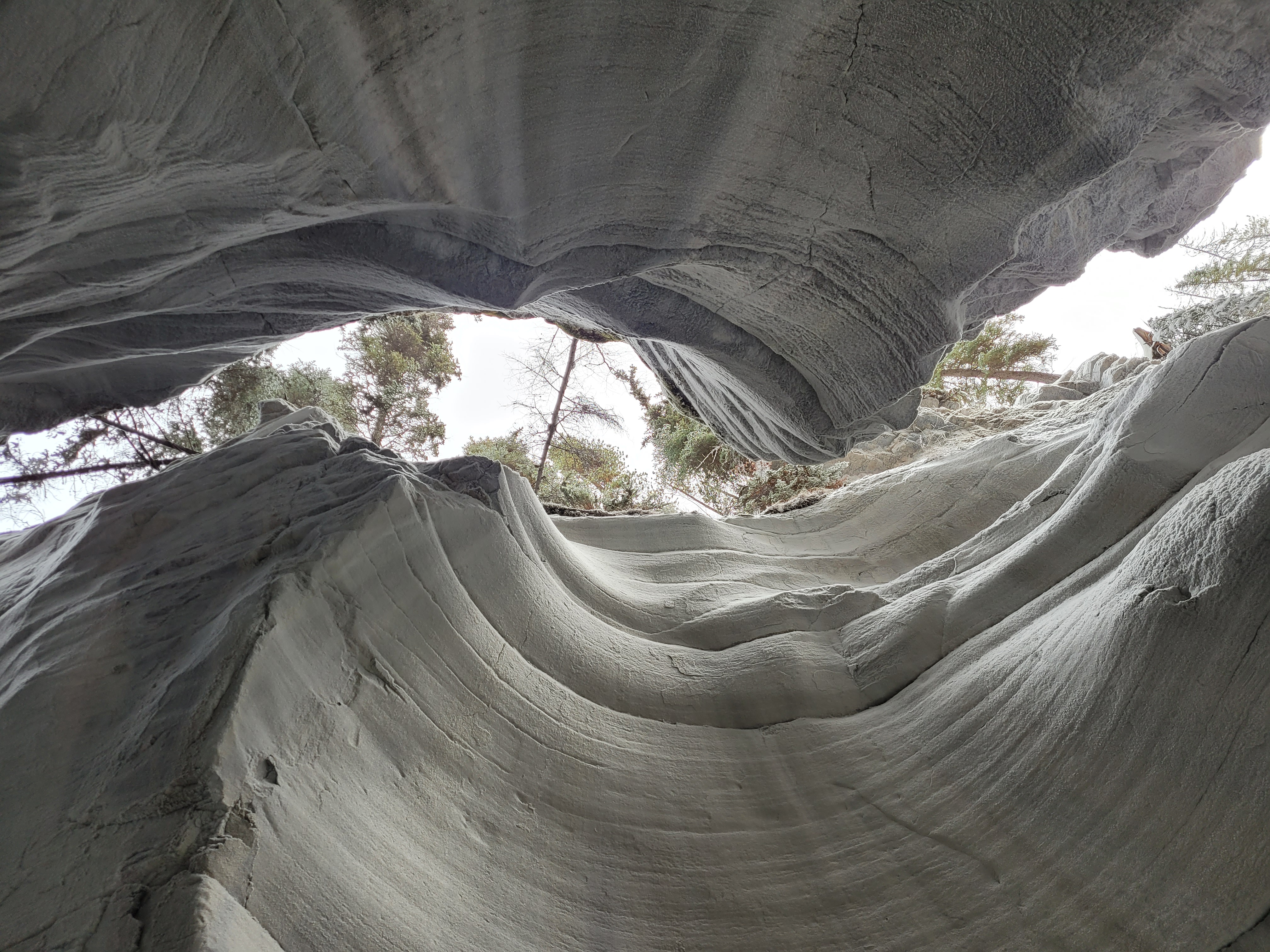 招聘，便利店员工