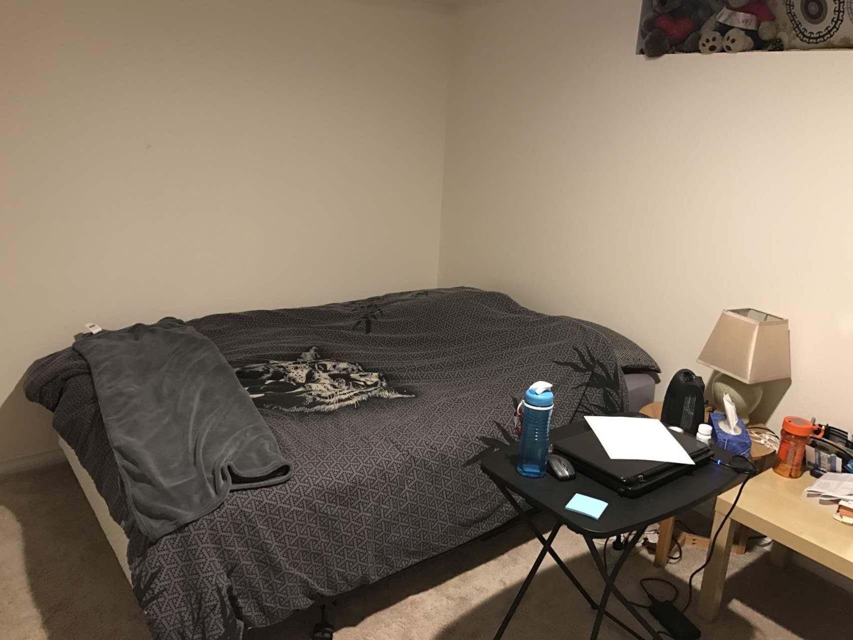 里贾纳东区独立屋出租600每月