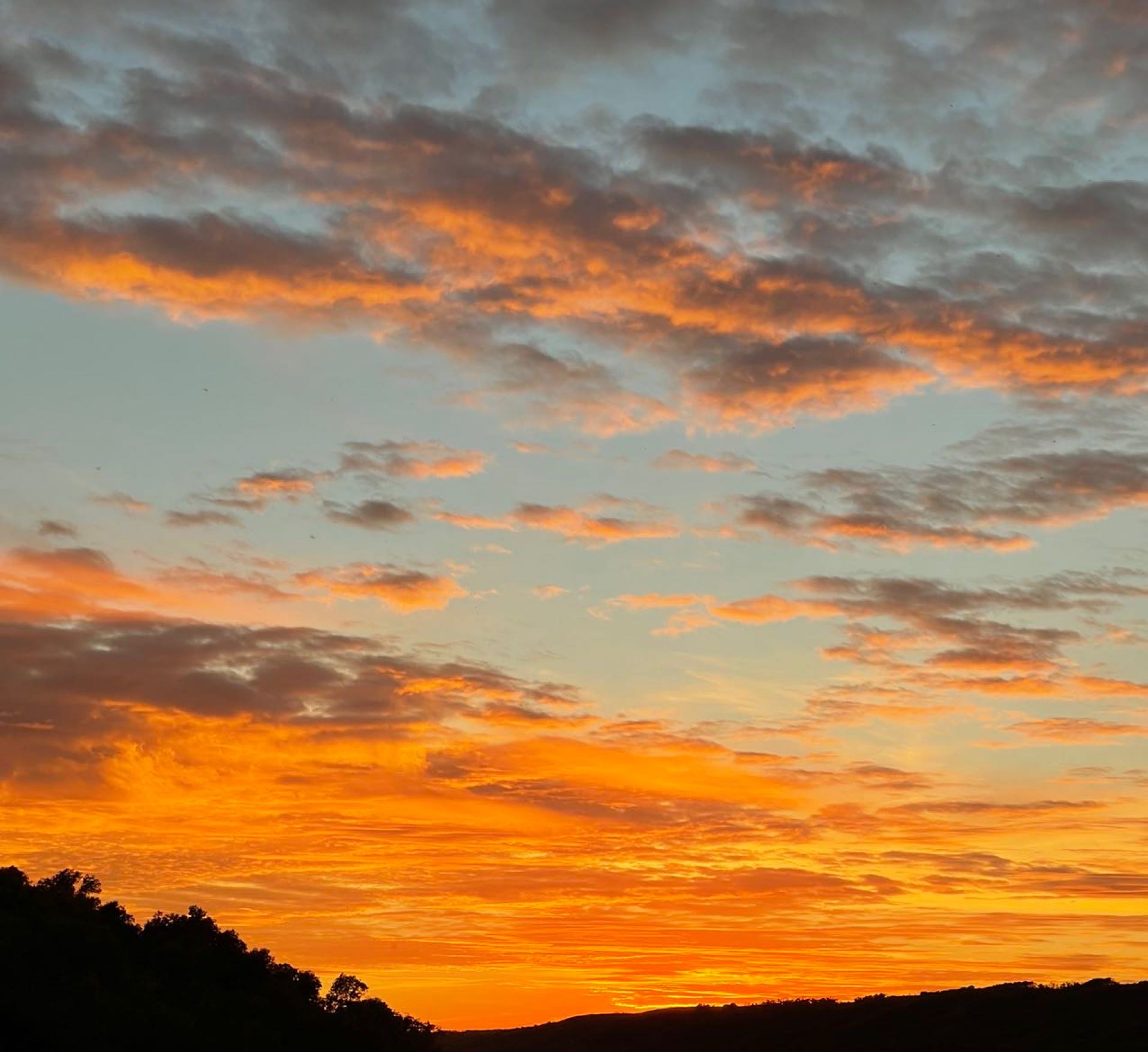 求租 5月份整租4bedrooms house