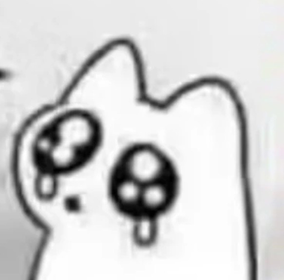 求租11月初townhouse或地下室2居或一居室