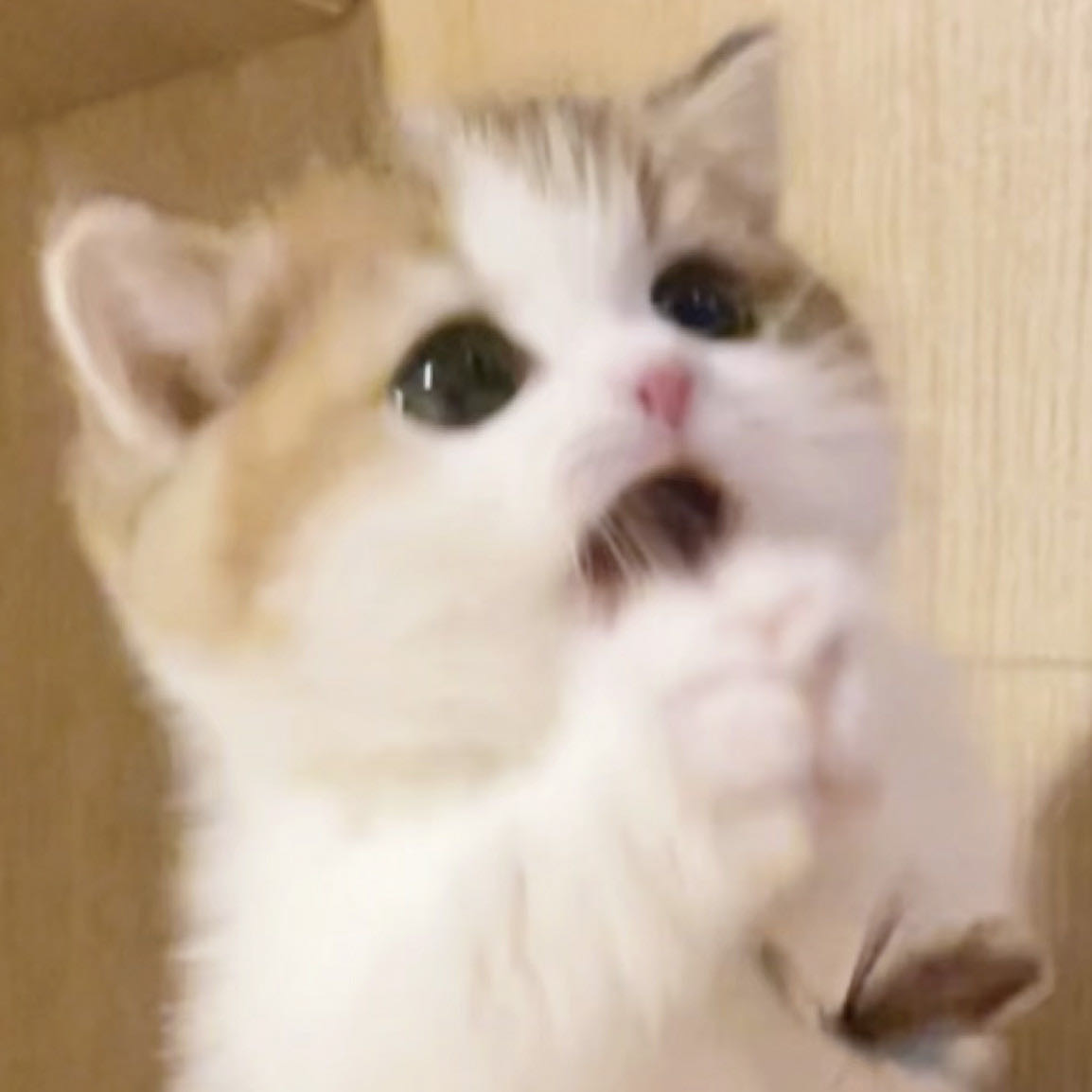 lakewood townhouse小房间转租6-8月