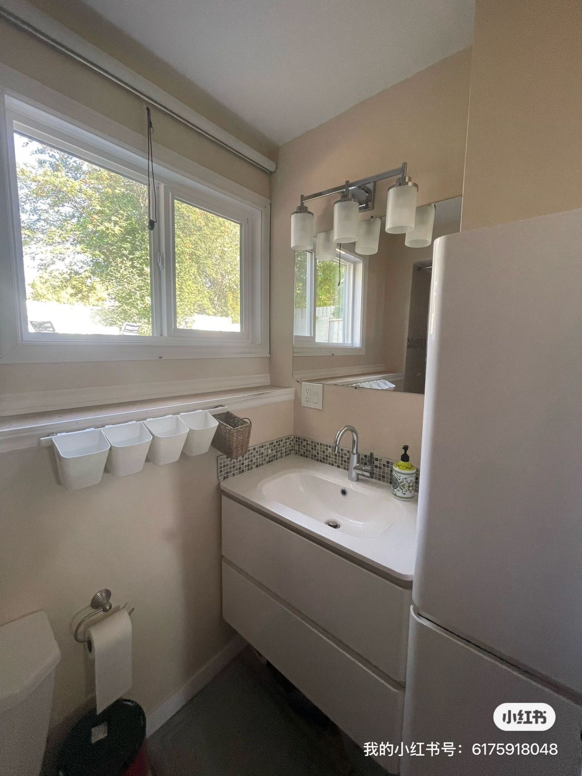 Taylor街地下室超大房间出租 - 3