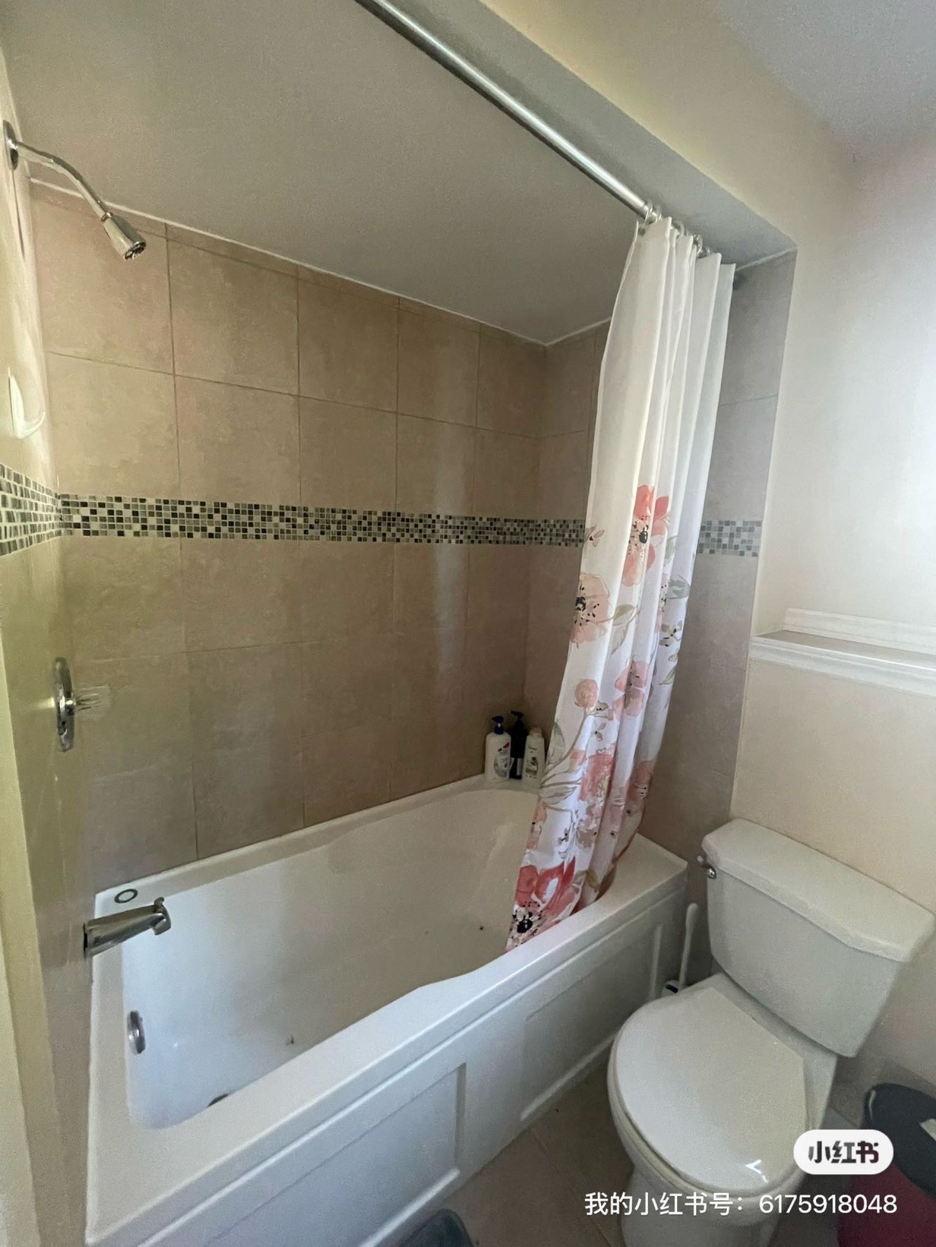 Taylor街地下室超大房间出租 - 4