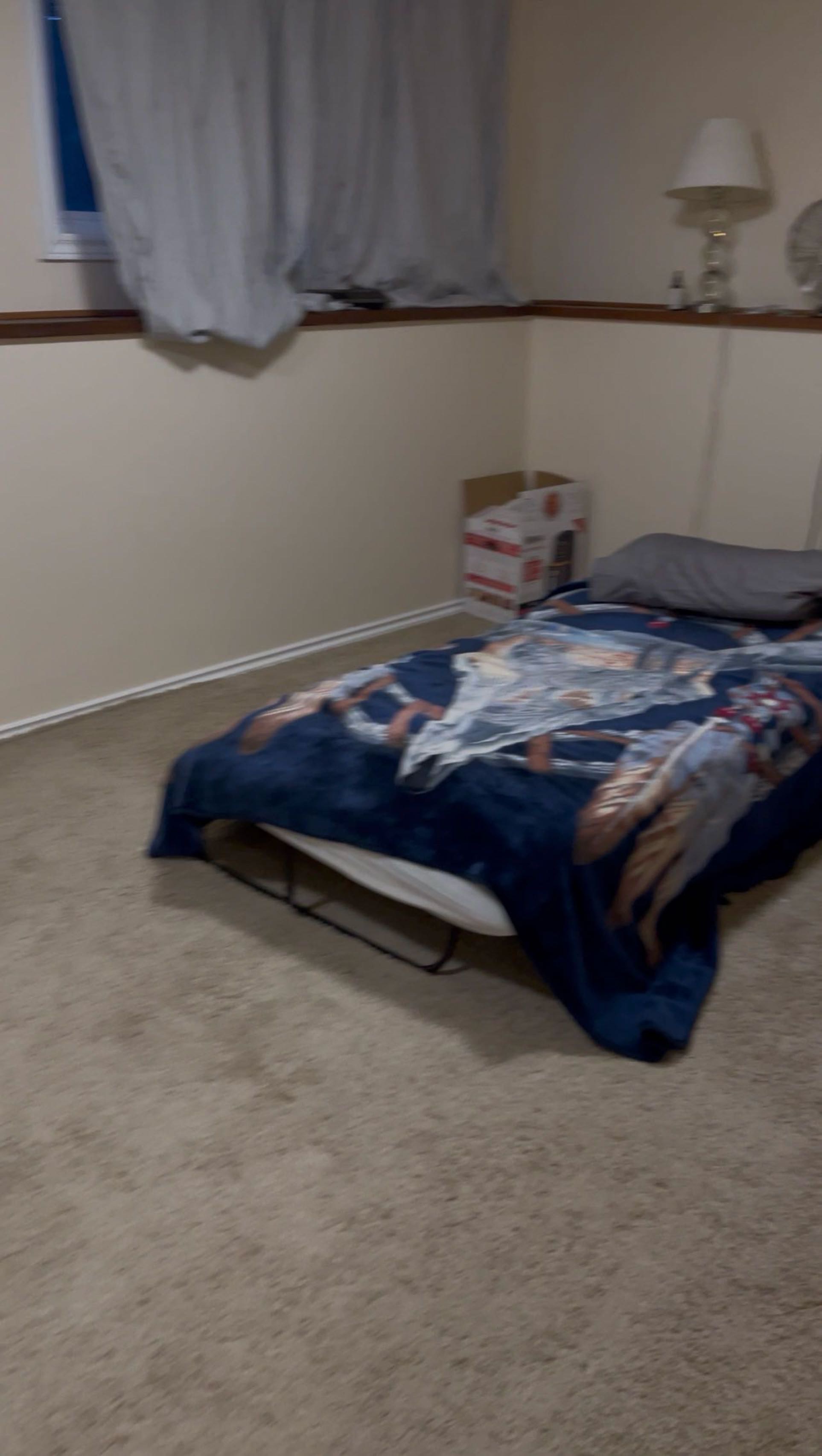 Taylor St E地下室超大房间