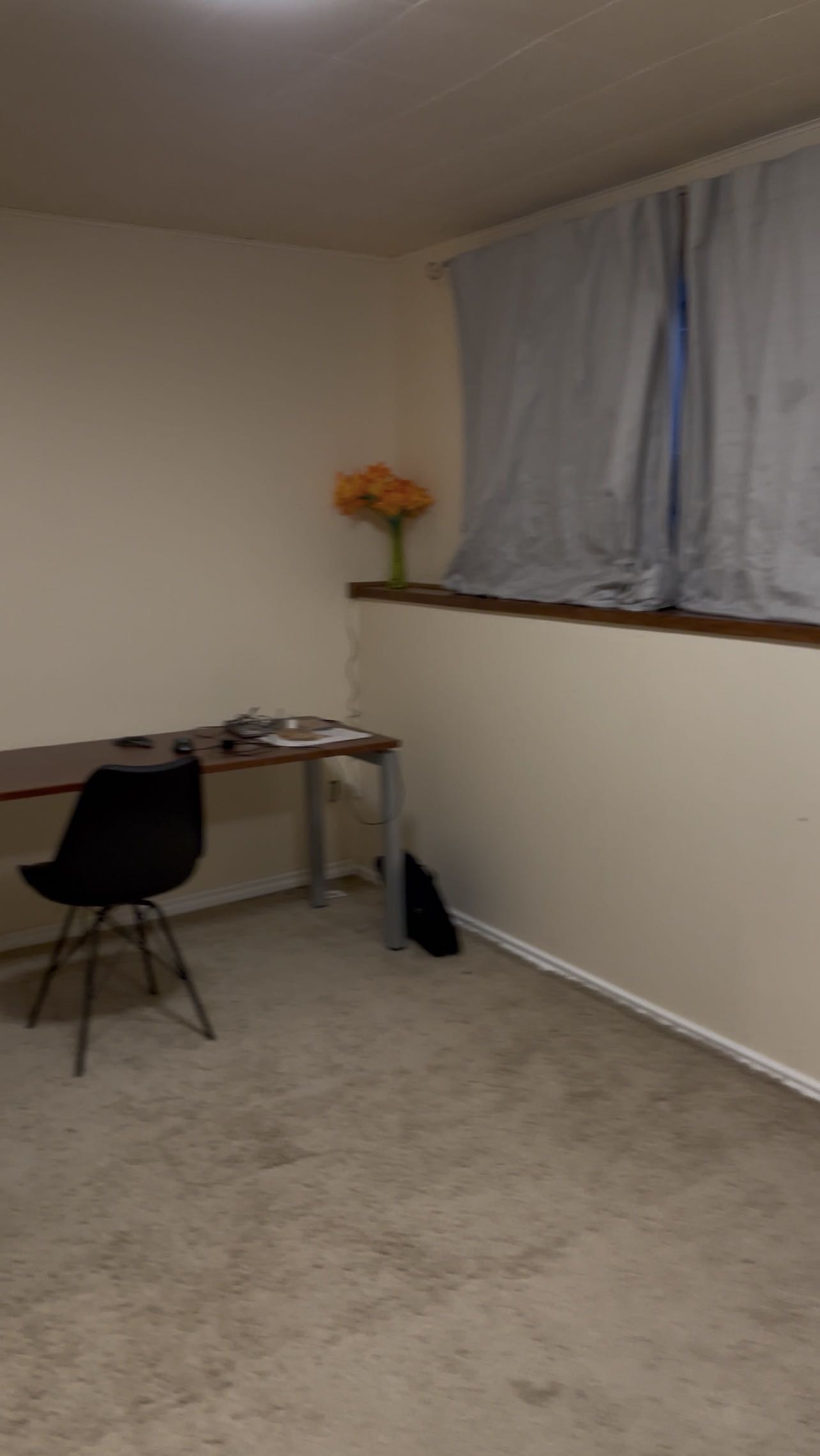 Taylor St E地下室超大房间 - 2