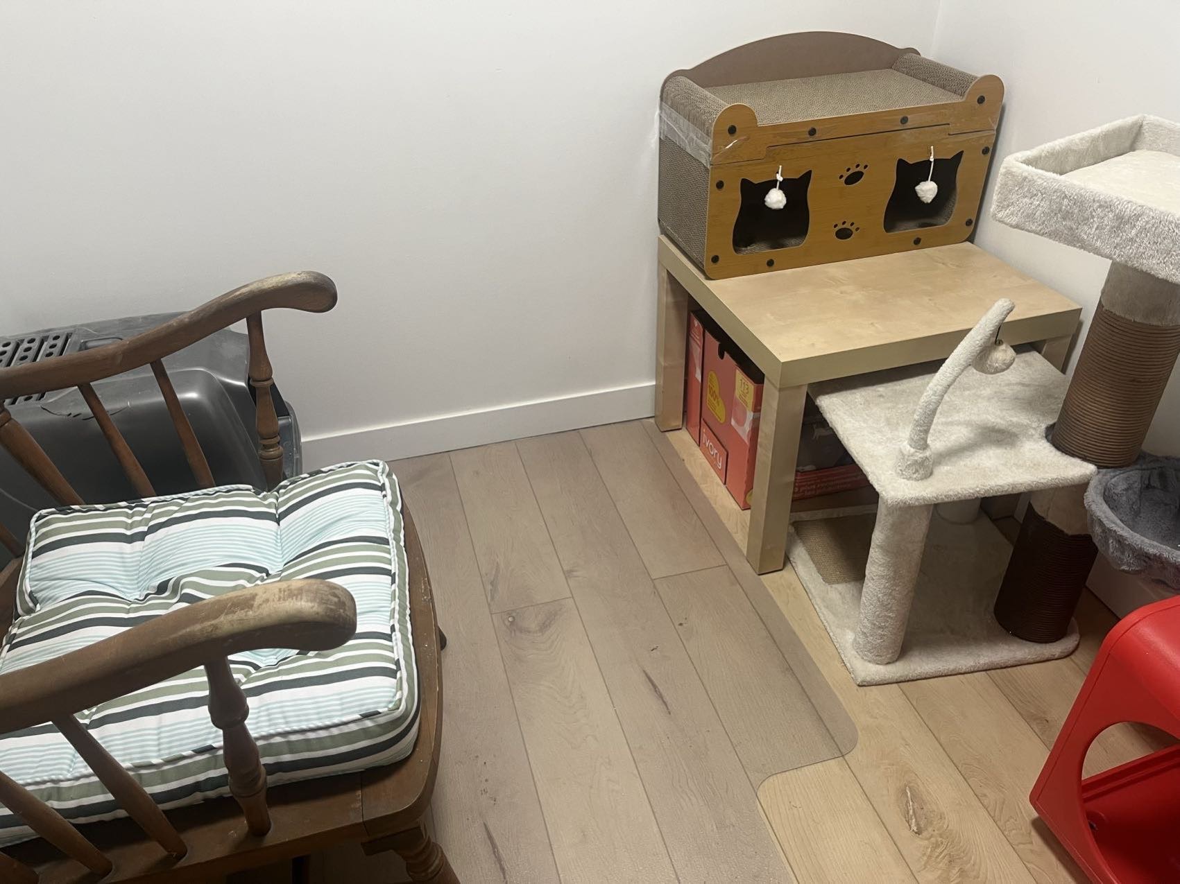 猫咪寄养服务 - 2