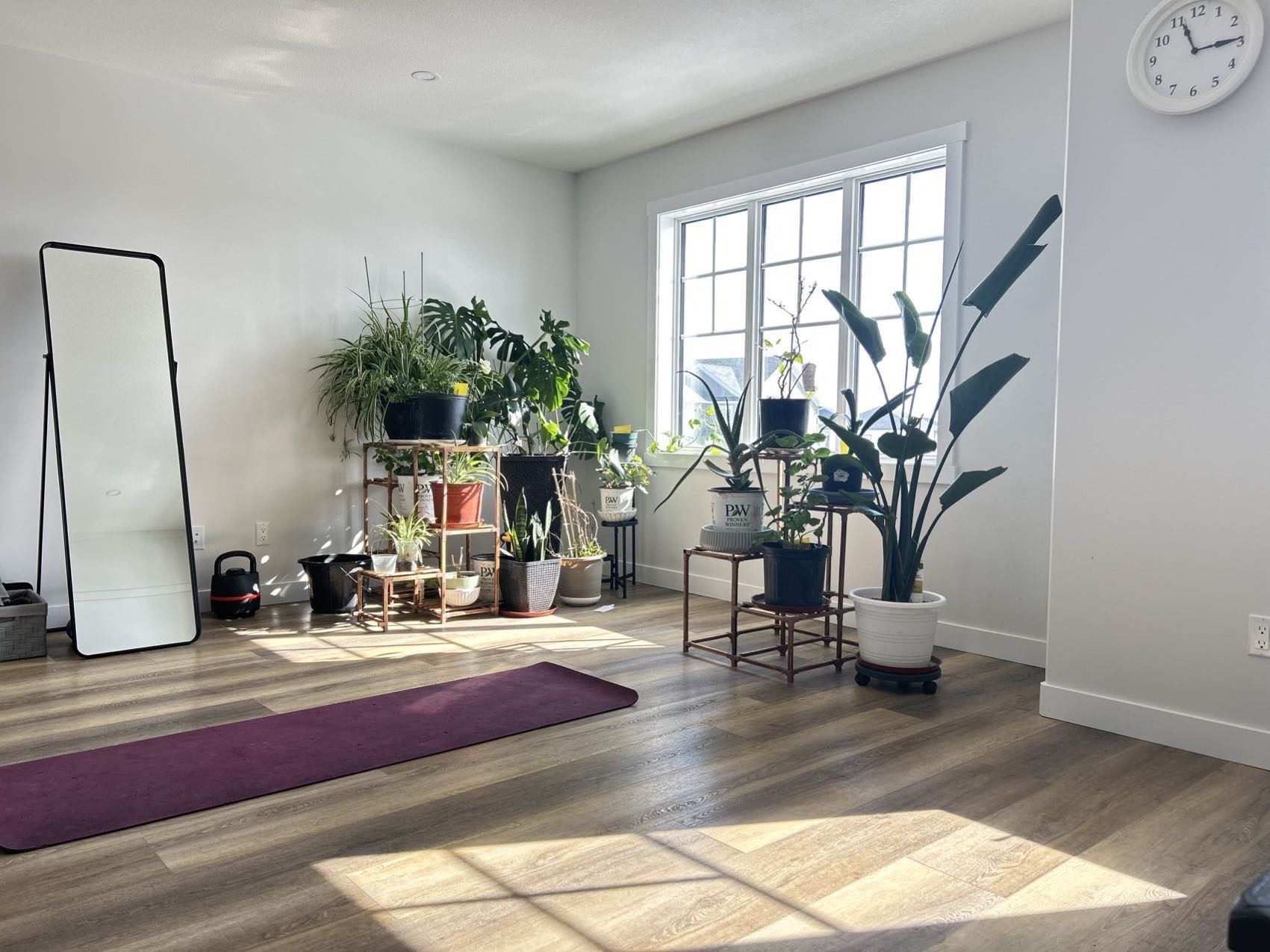 只招单身女士：全新卧室+独立四件套卫生间$800/月 - 2