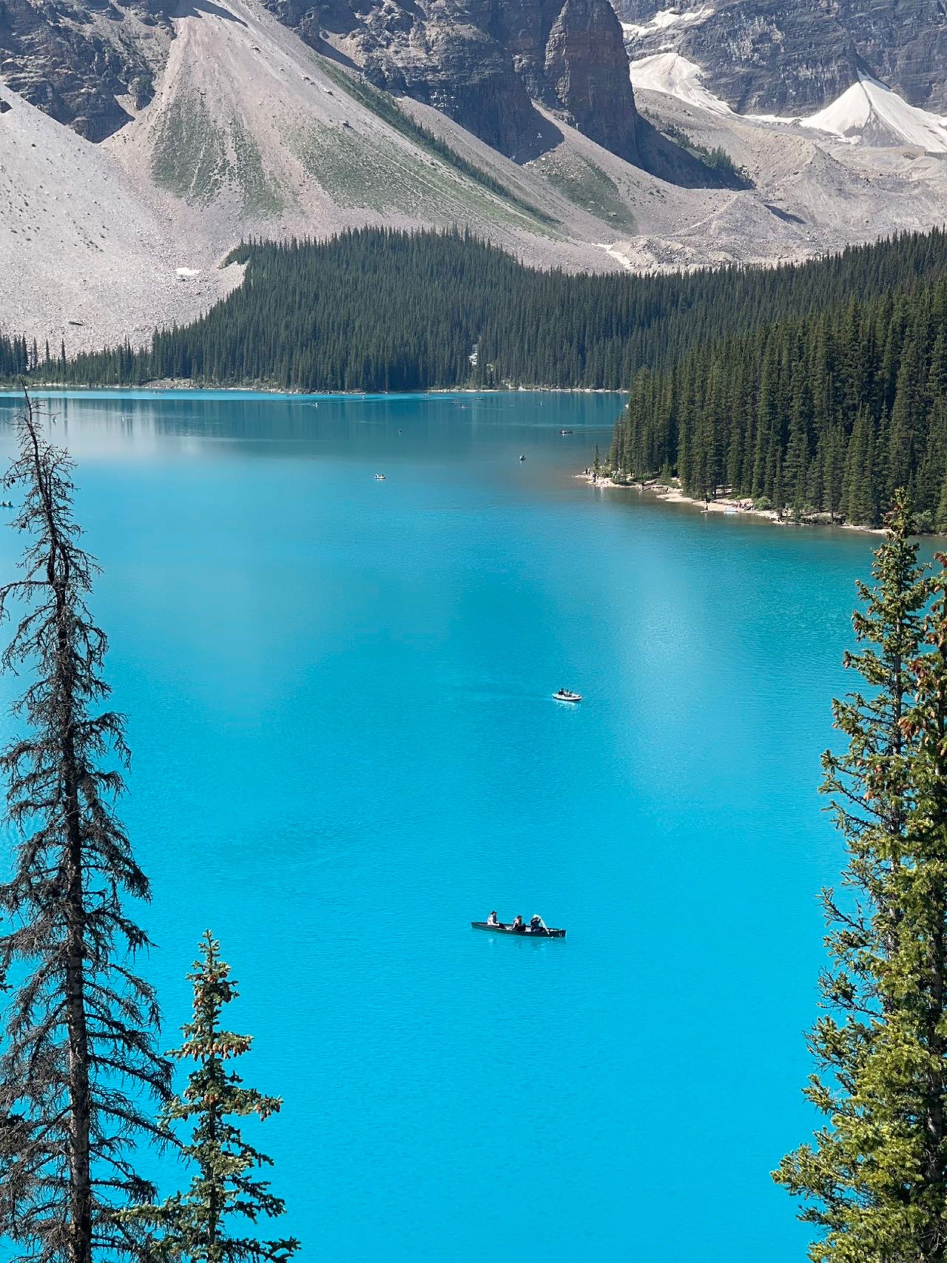 求租：两居室公寓，长租