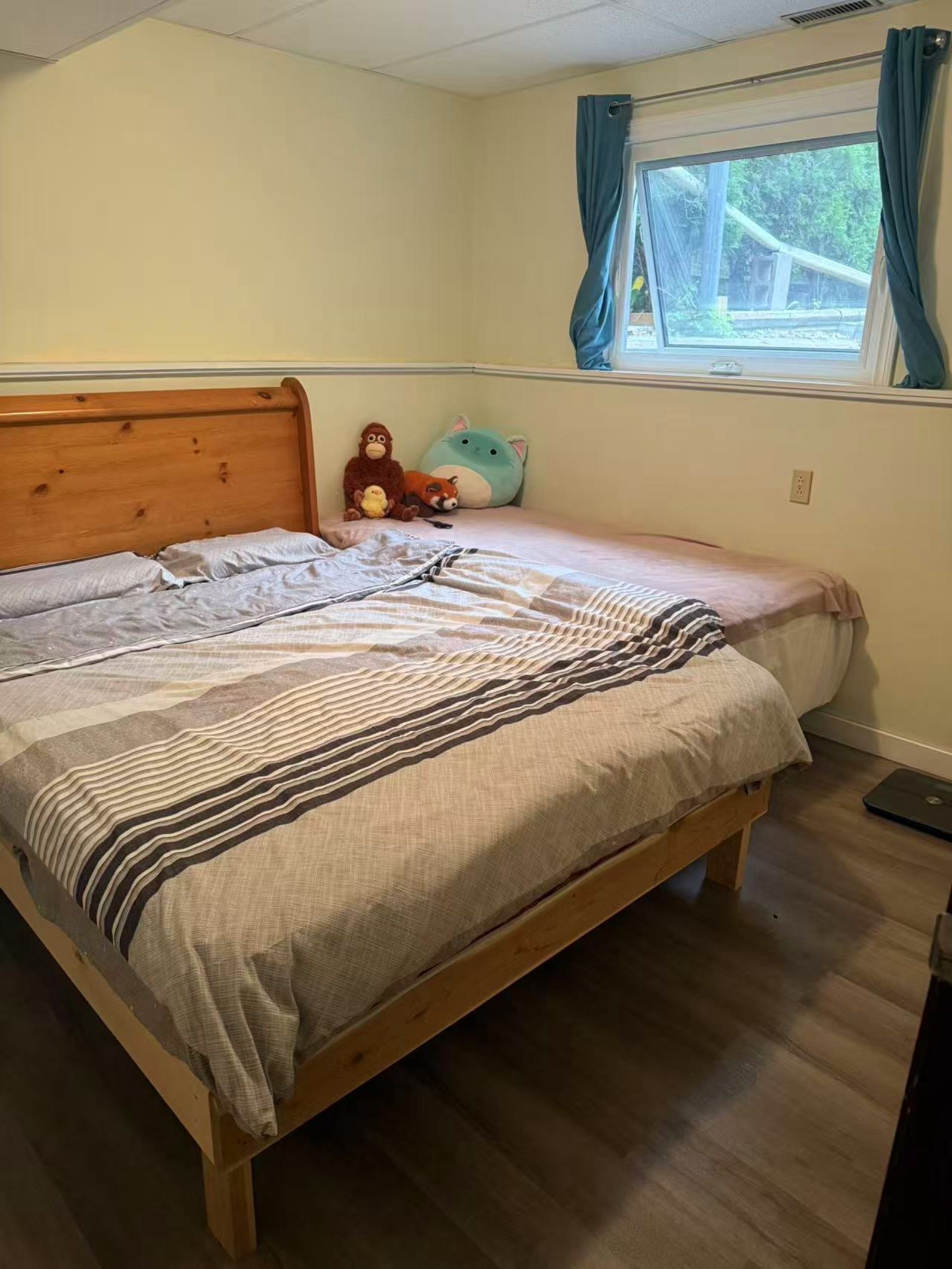 两室一厅一卫一den一储藏间的半地下室出租（也可分租） - 5