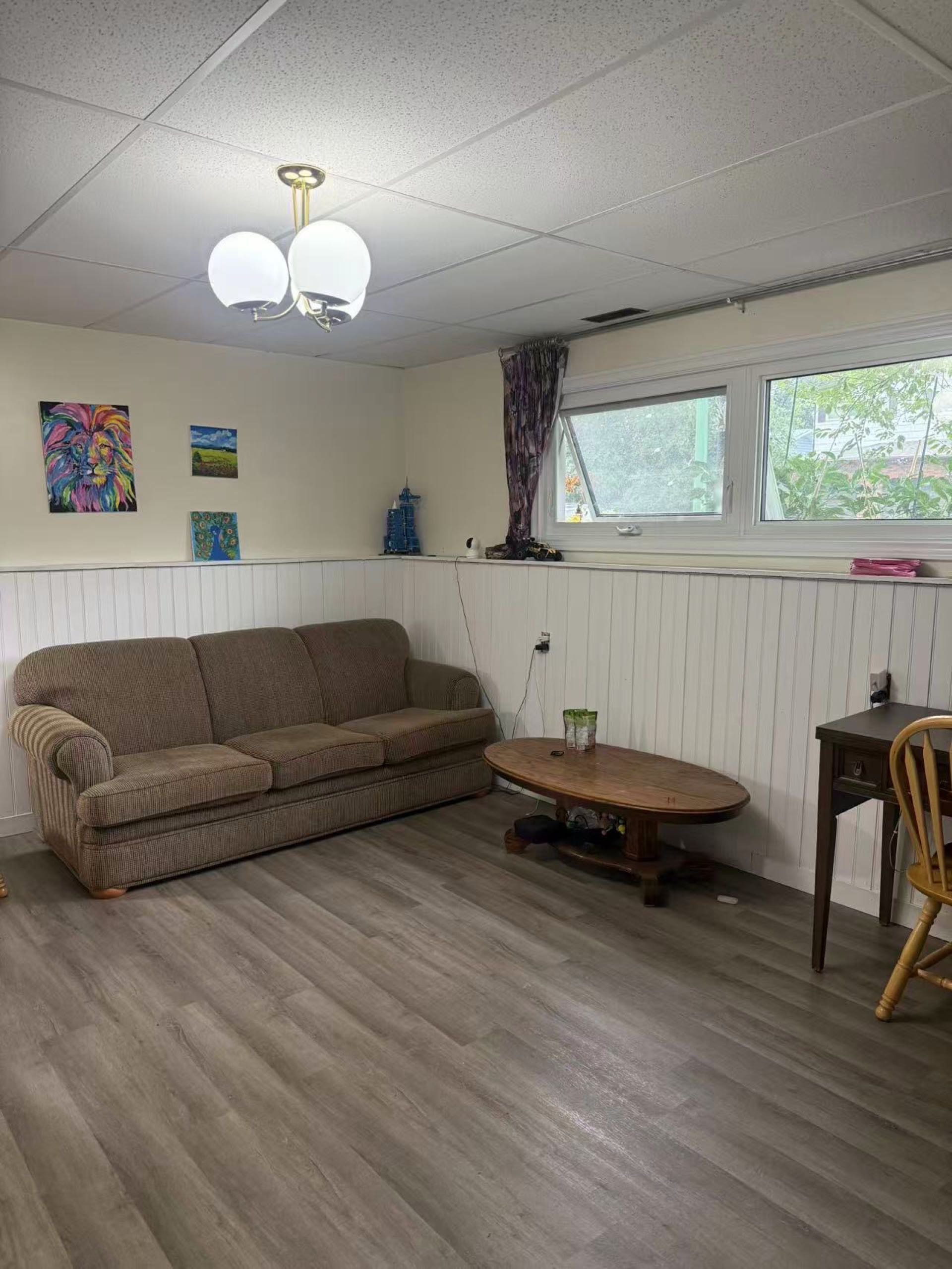 两室一厅一卫一den一储藏间的半地下室出租（也可分租） - 2