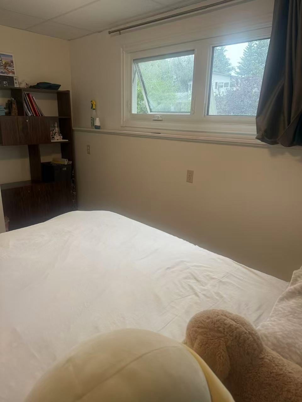 两室一厅一卫一den一储藏间的半地下室出租（也可分租） - 6