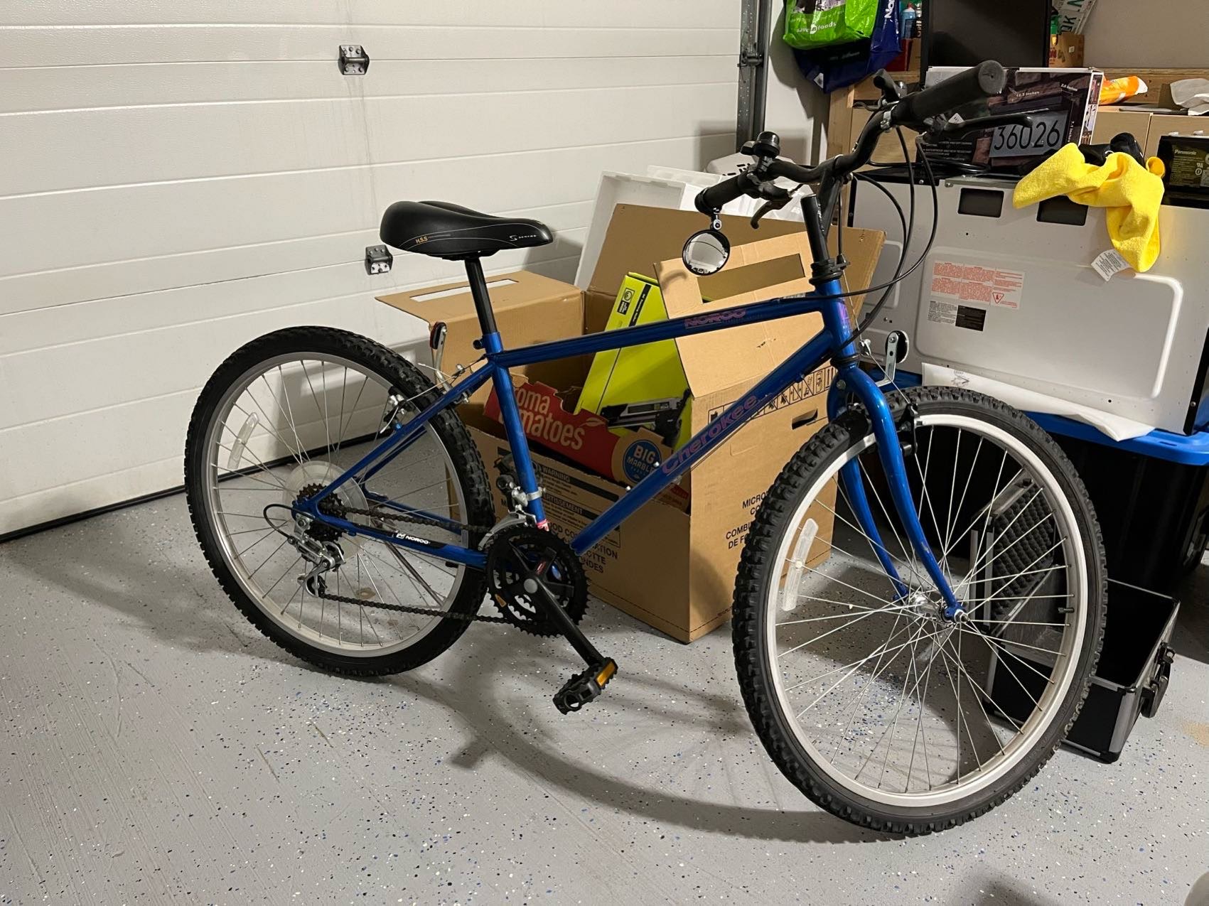 出两个成年人自行车 - 4