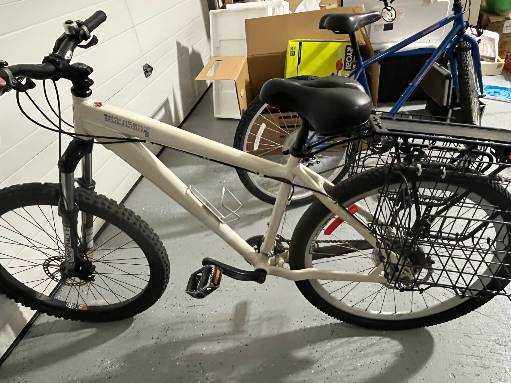 出两个成年人自行车 - 2