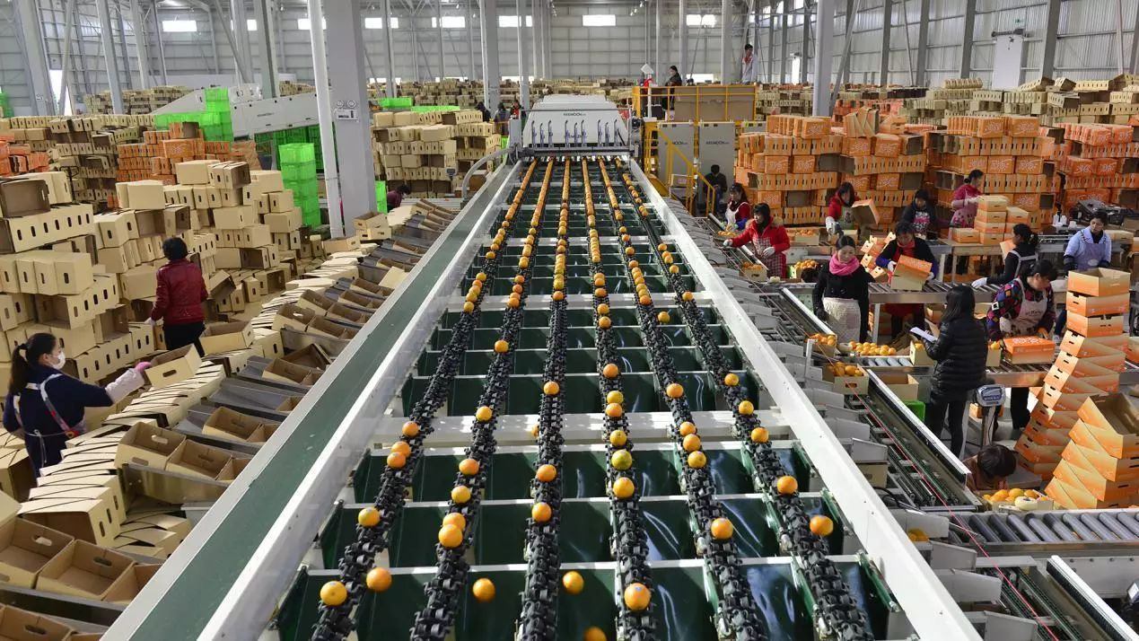 仓库果蔬分拣，包装，欢迎兼职