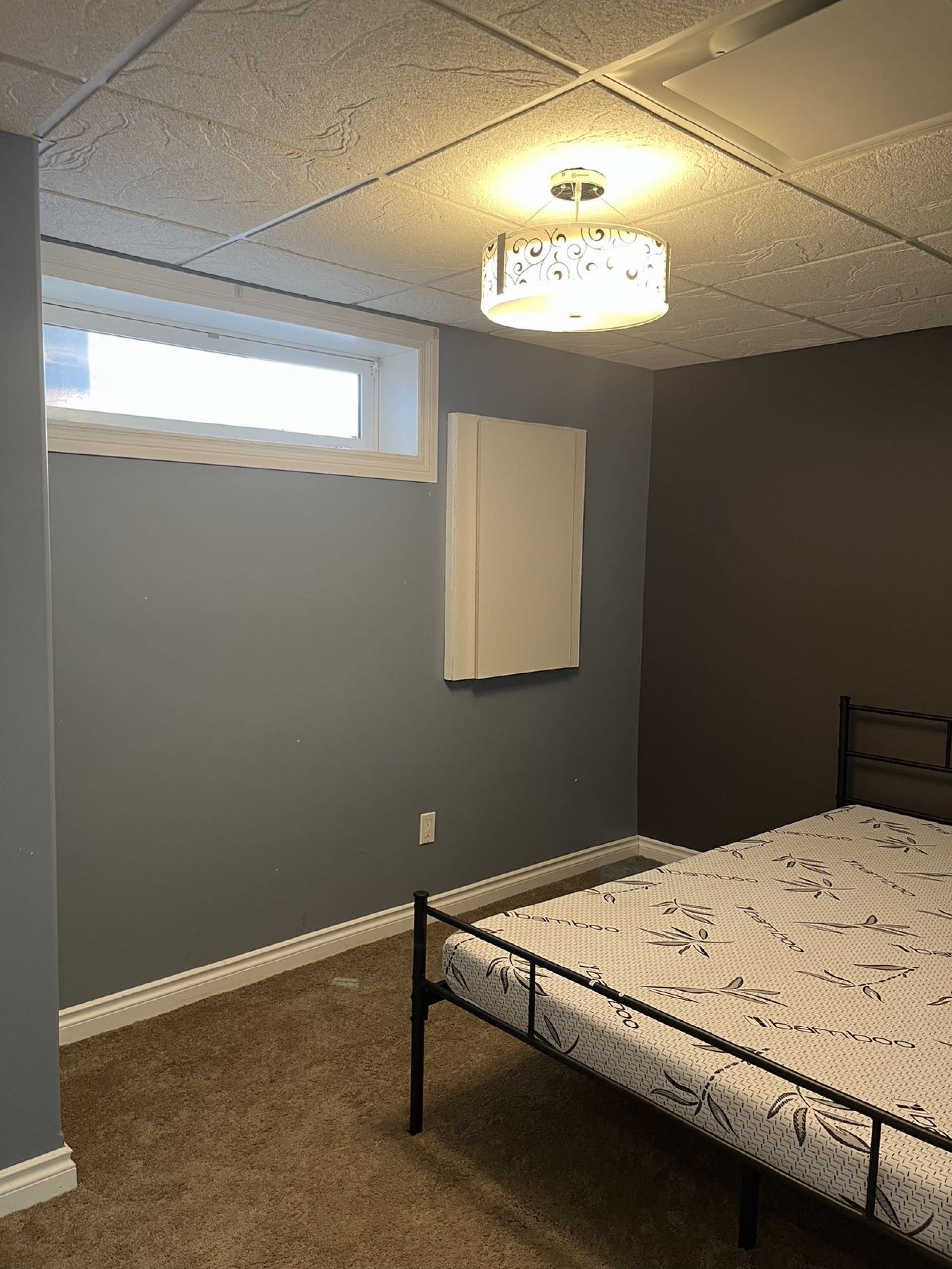 里贾纳东区地下室出租（6月25日后可入住） - 4