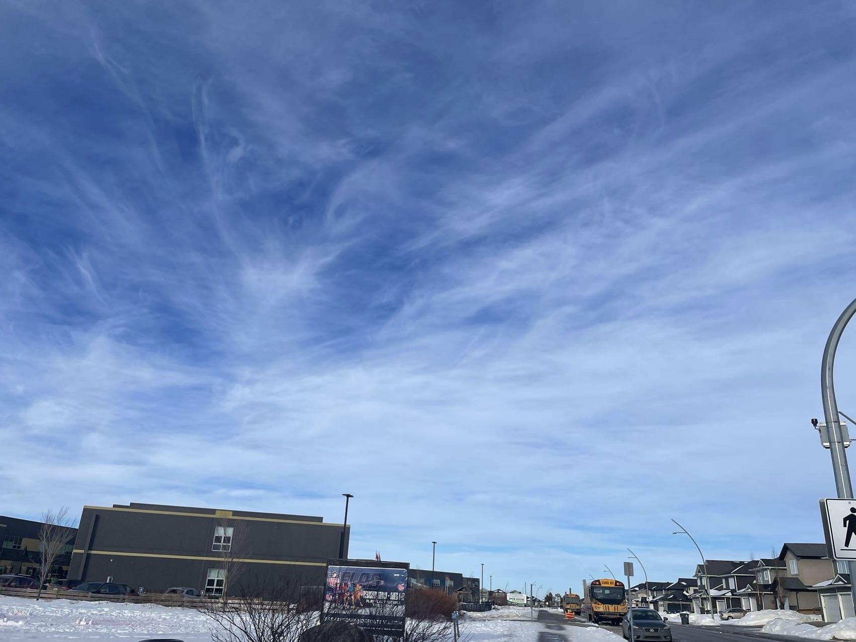 求租Evergreen学校附近Townhouse 或者House