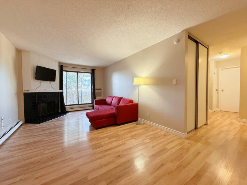 Lakeview 2房1卫出租 - 2