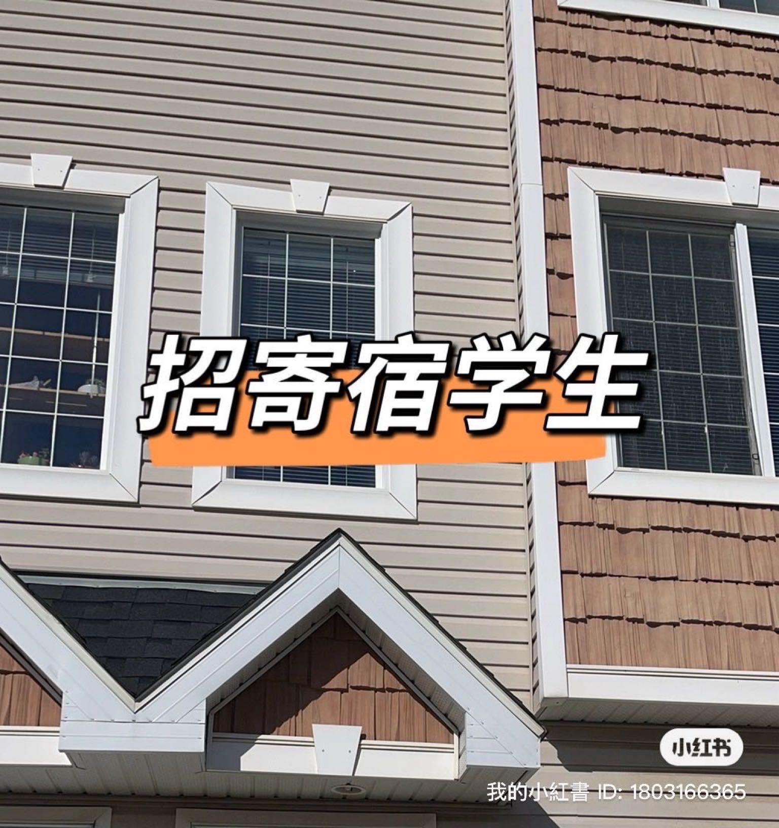 Lakewood房间出租 - 5