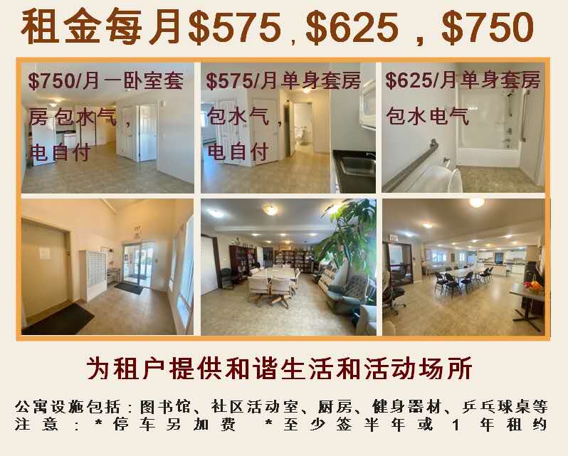 单身公寓，两室独立屋