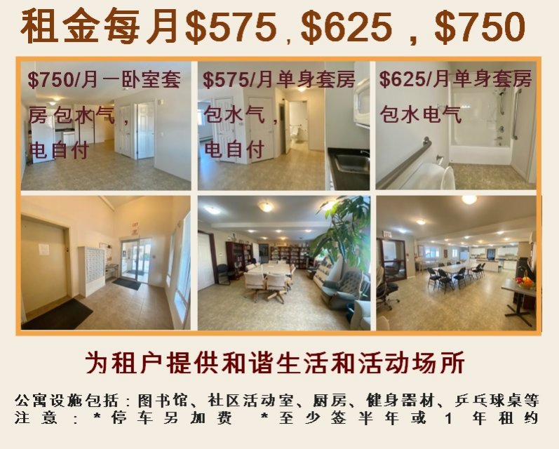 松柏楼Studio出租，625包水电暖