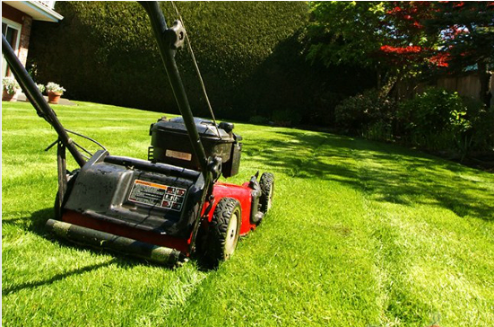 萨斯卡通园艺生意转让