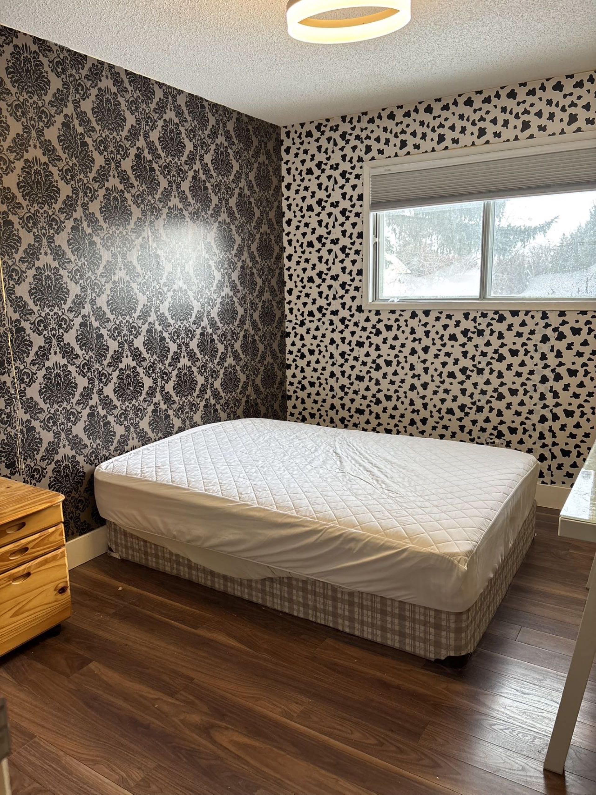 好房次卧出租 - 3