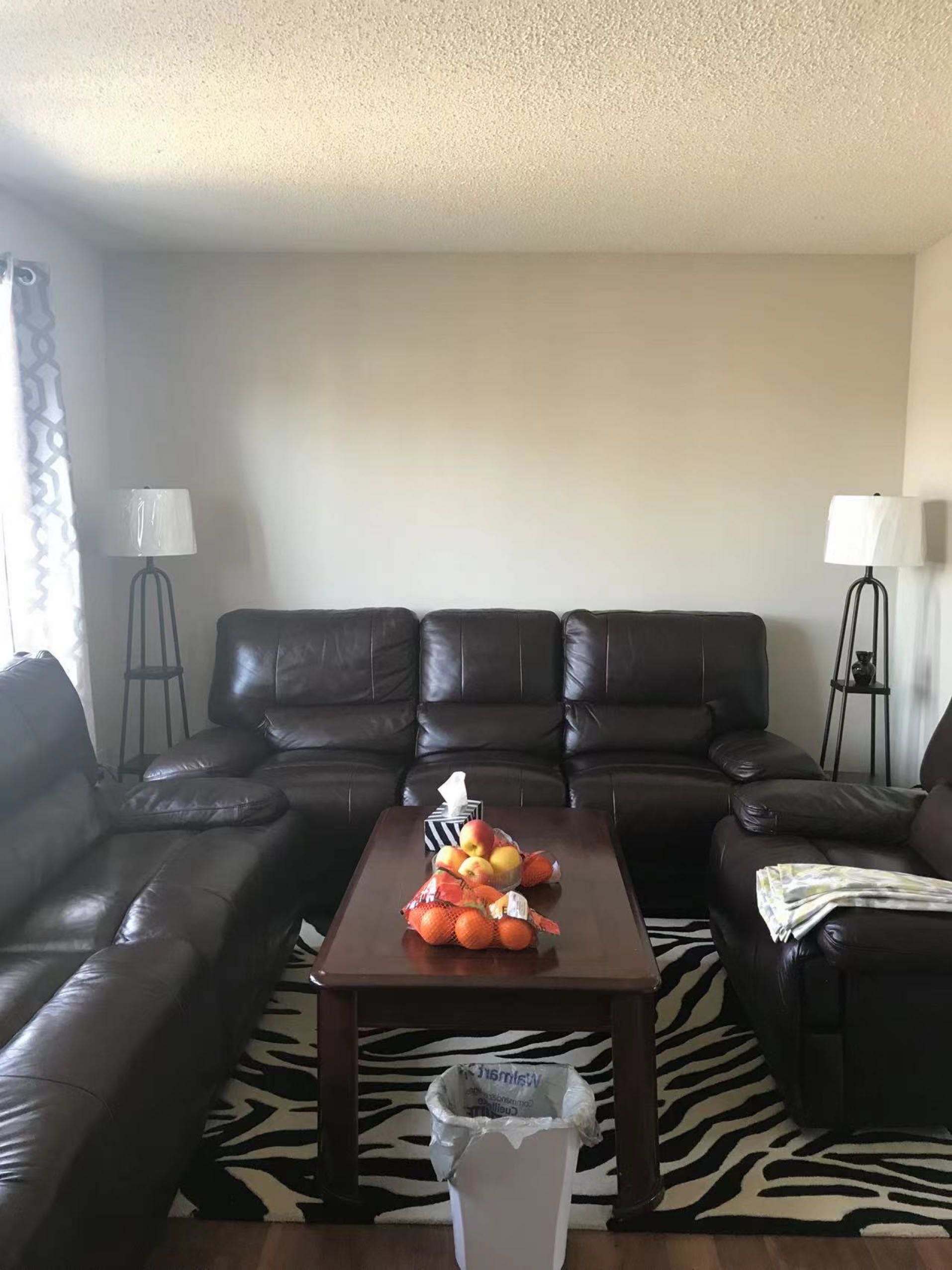 步行8分钟到regina大学townhouse招租一人