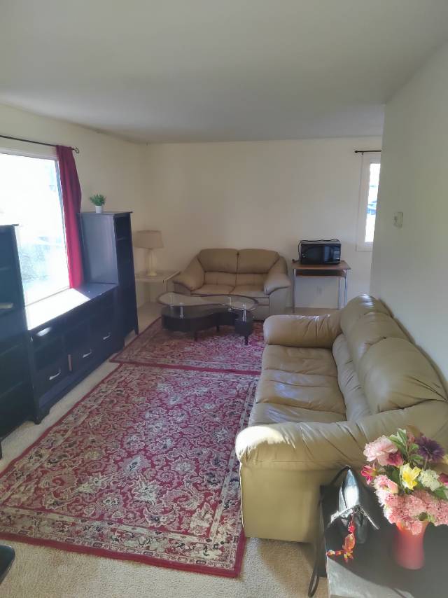 5月30日大学附近townhouse新装修三室两卫整租