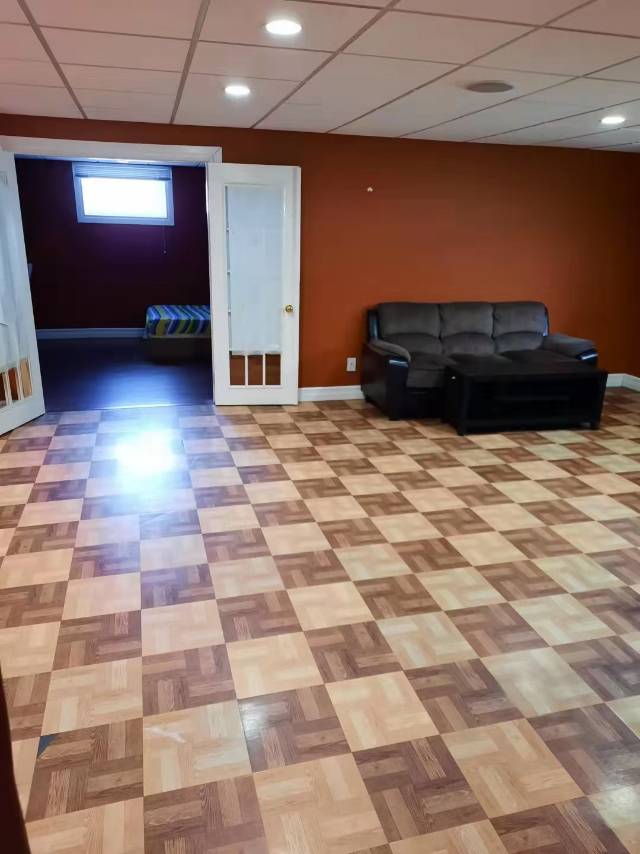 里贾纳东区地下室整层出租，明亮卫生、交通便利、购物方便。 - 3