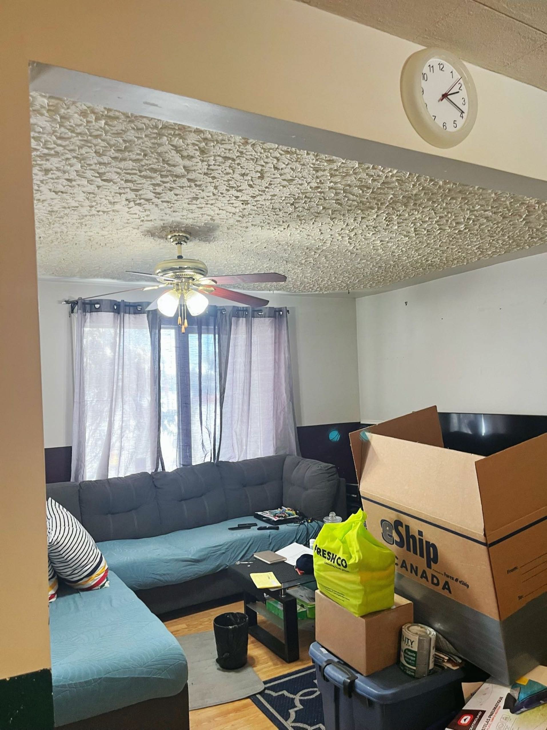 小预算独立屋，三室两卫一车库 - 2