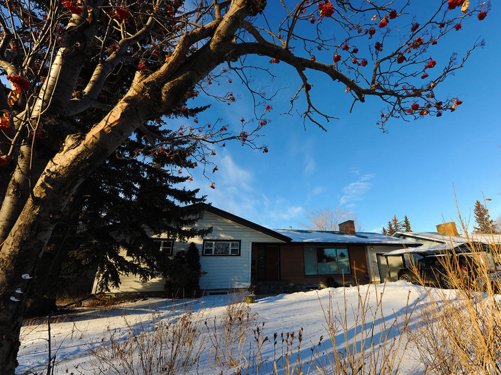 萨斯卡通8街房屋出租 - 2