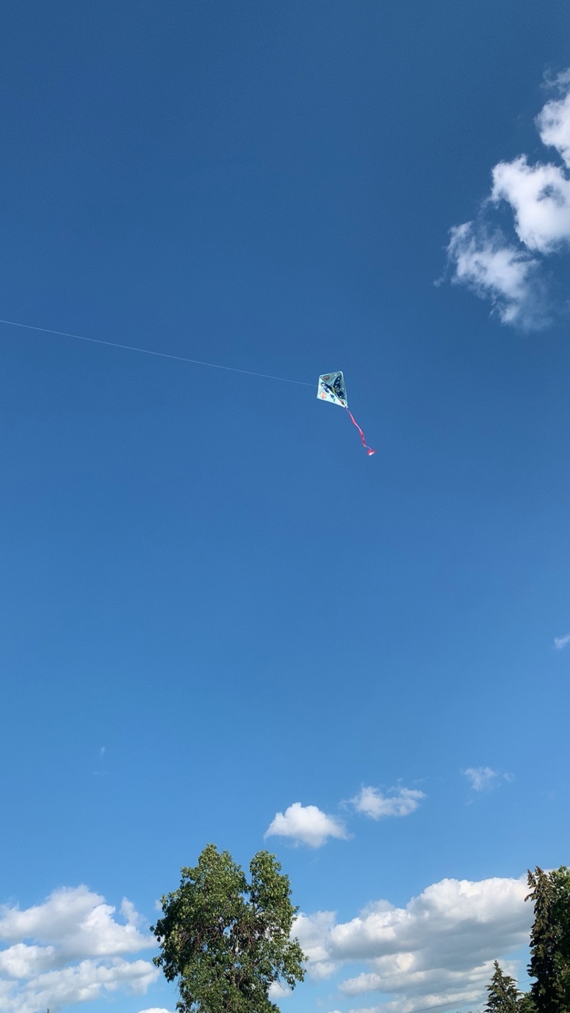 求租 Stonebridge house townhouse