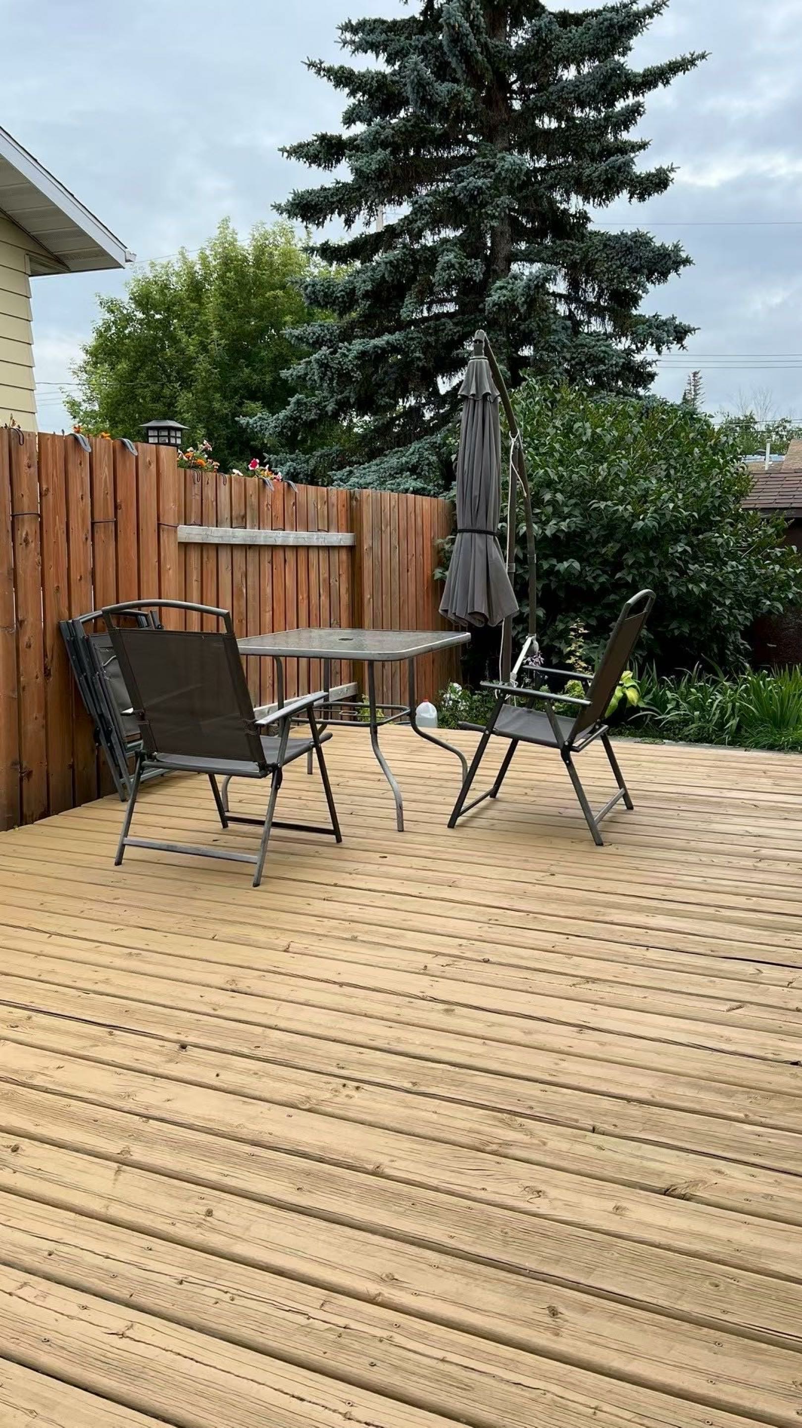 近八街center mall 一室一厅出租