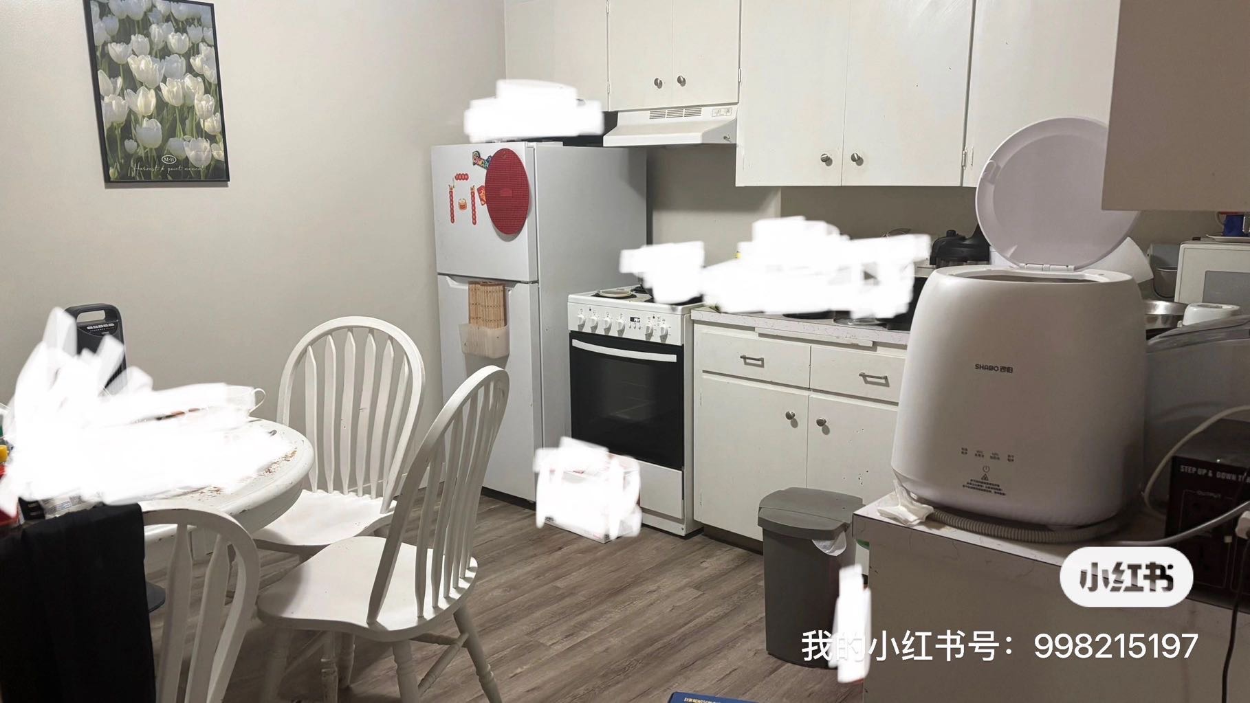 里贾纳市中心房租转租，超高性价比！ - 2