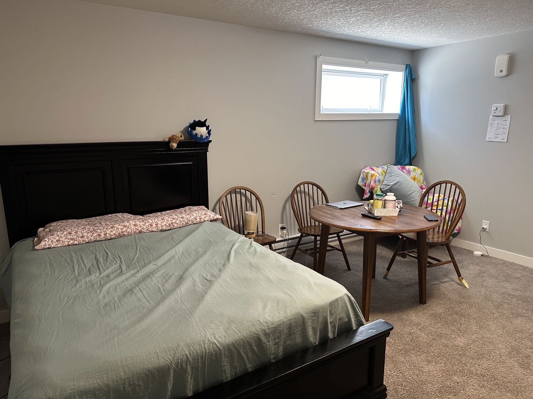 里贾纳东区独立出入半地下室法律套房出租 - 7