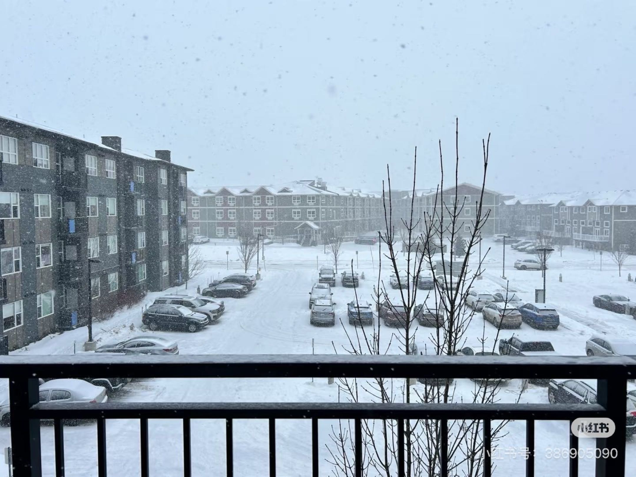 求合租室友- 萨斯卡通石桥stonebridge 公寓 - 6