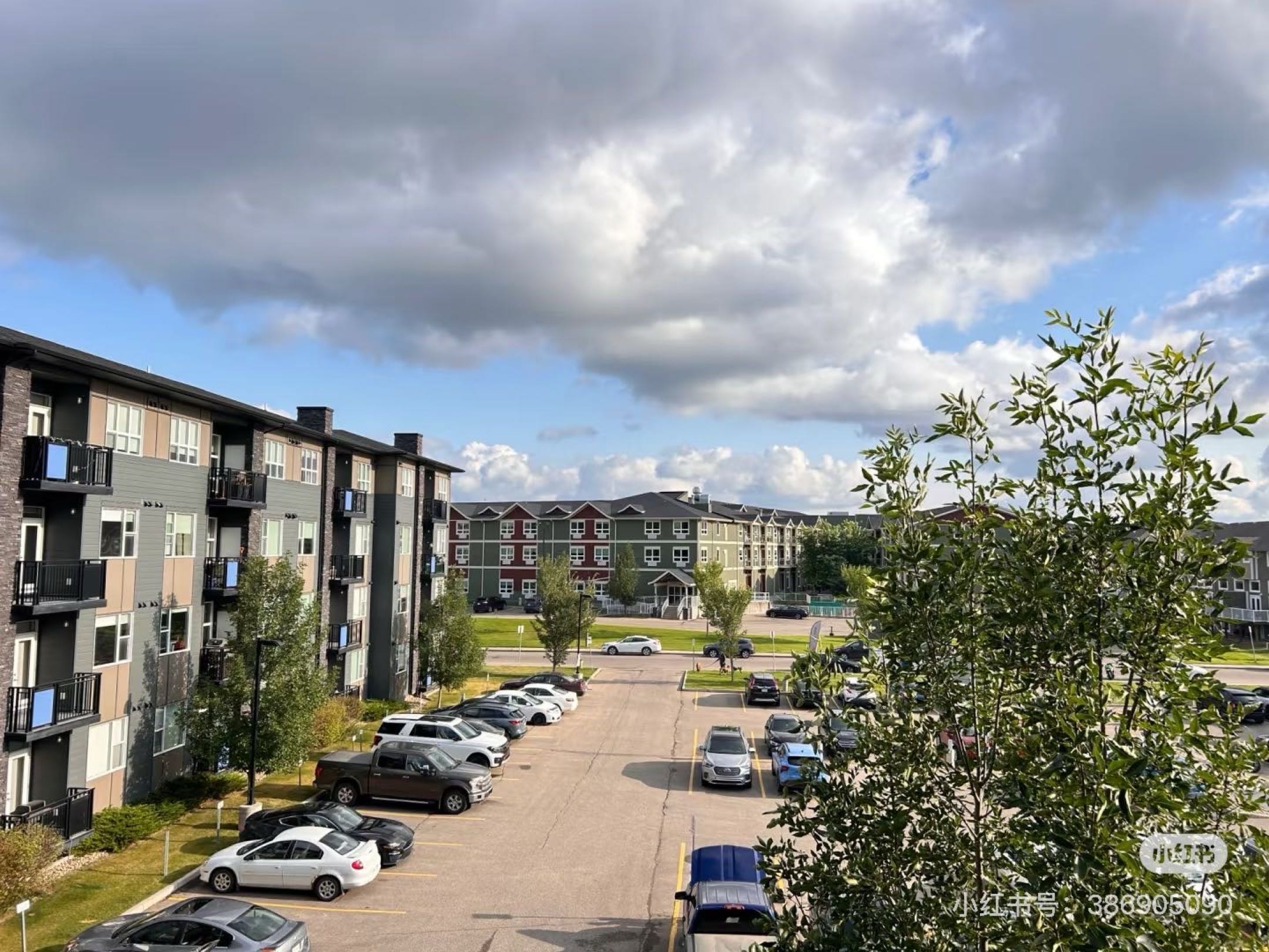 求合租室友- 萨斯卡通石桥stonebridge 公寓 - 4