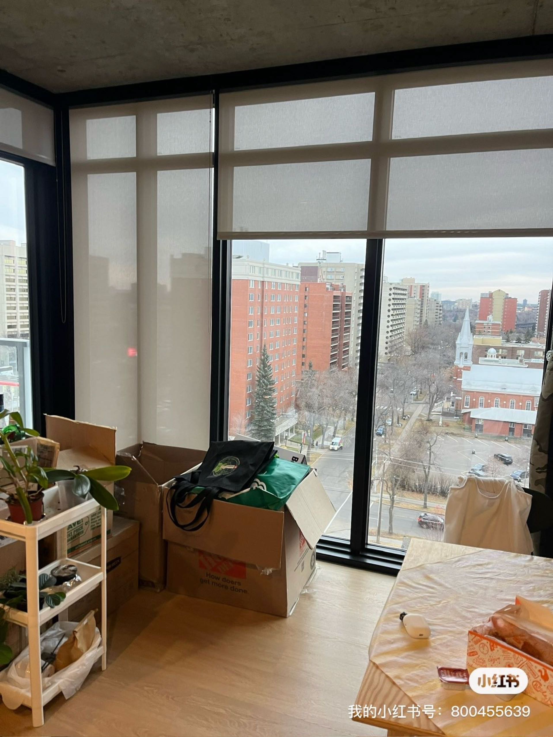 埃德蒙顿downtown 2b2b次卧转lease  - 4