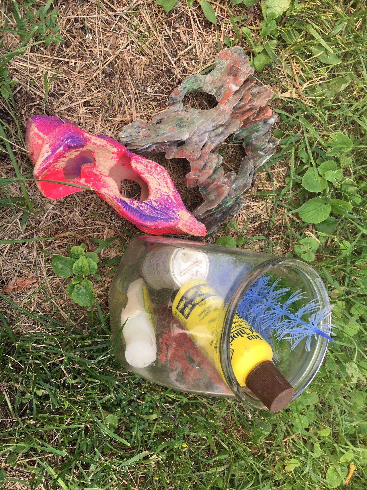 玻璃鱼缸鱼缸石假水草清洁剂