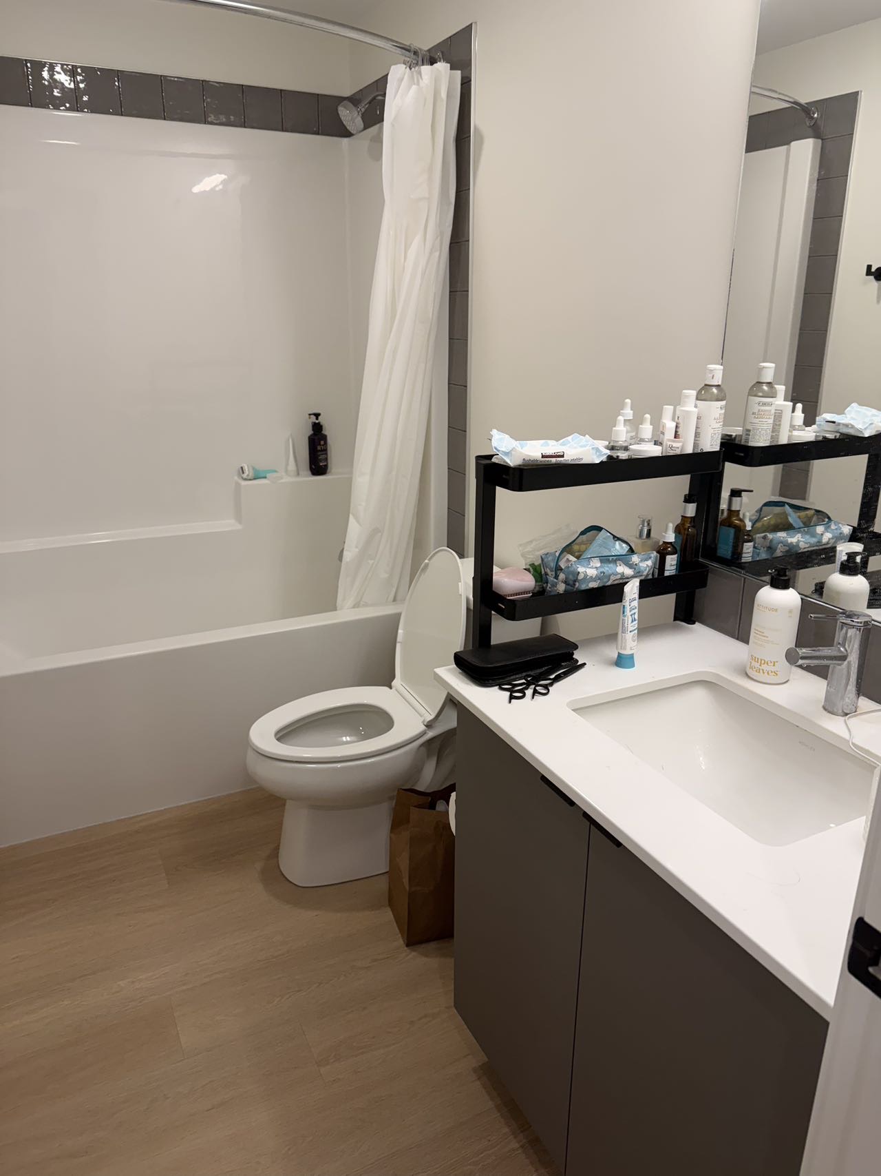 埃德蒙顿downtown 2b2b次卧转lease  - 2