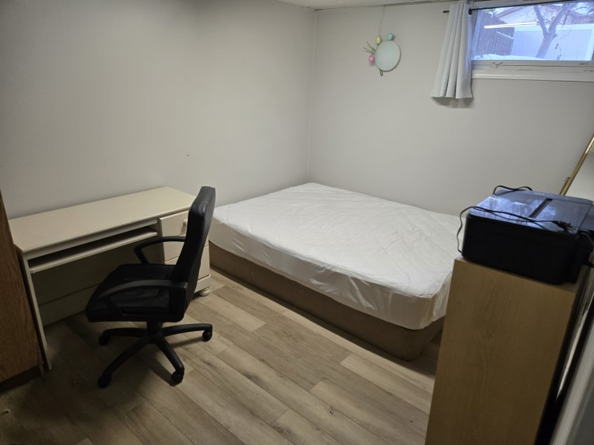 东区地下室房间出租（阳光充足） - 3