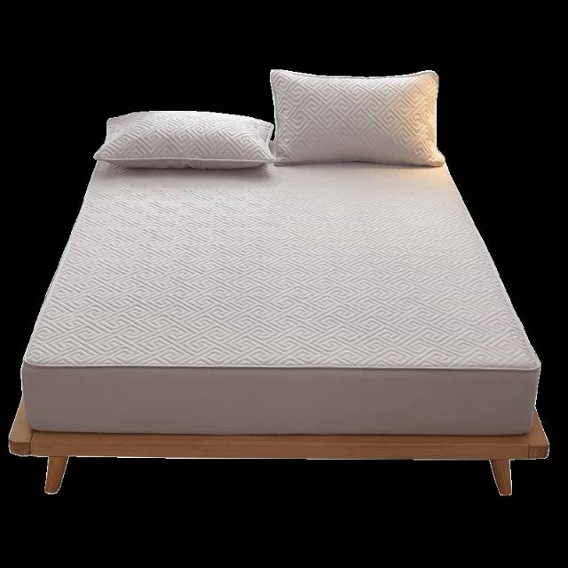 全新床垫保护垫 - 2